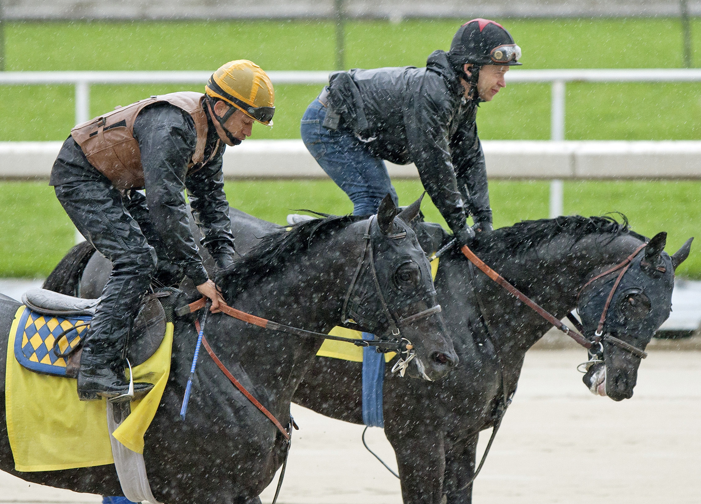 Shakin It Up (left), Govenor Charlie, March 7, 2013