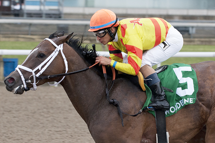 Shakopee Town wins the 2019 Whimsical Stakes