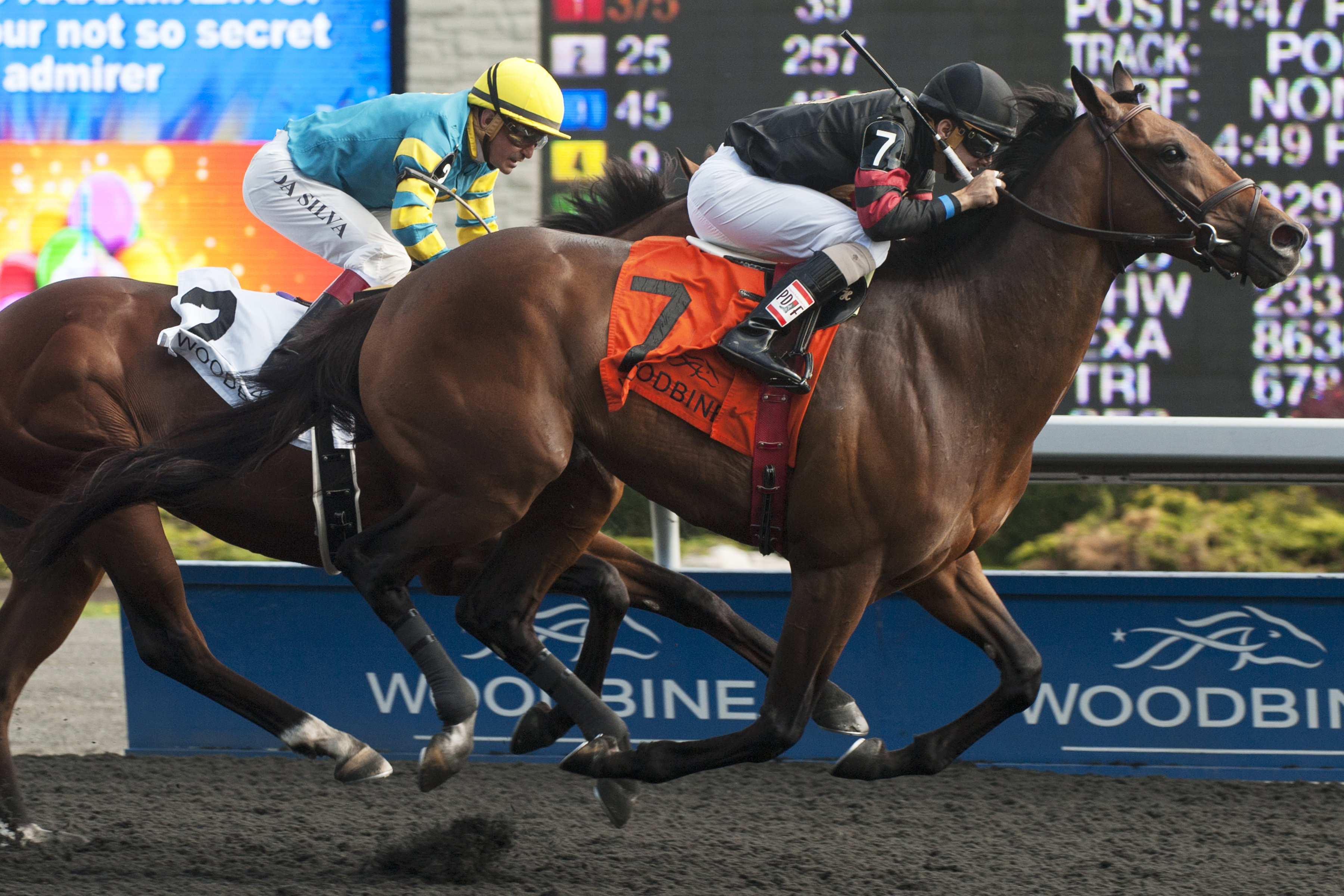 Shaman Ghost wins the Marine Stakes