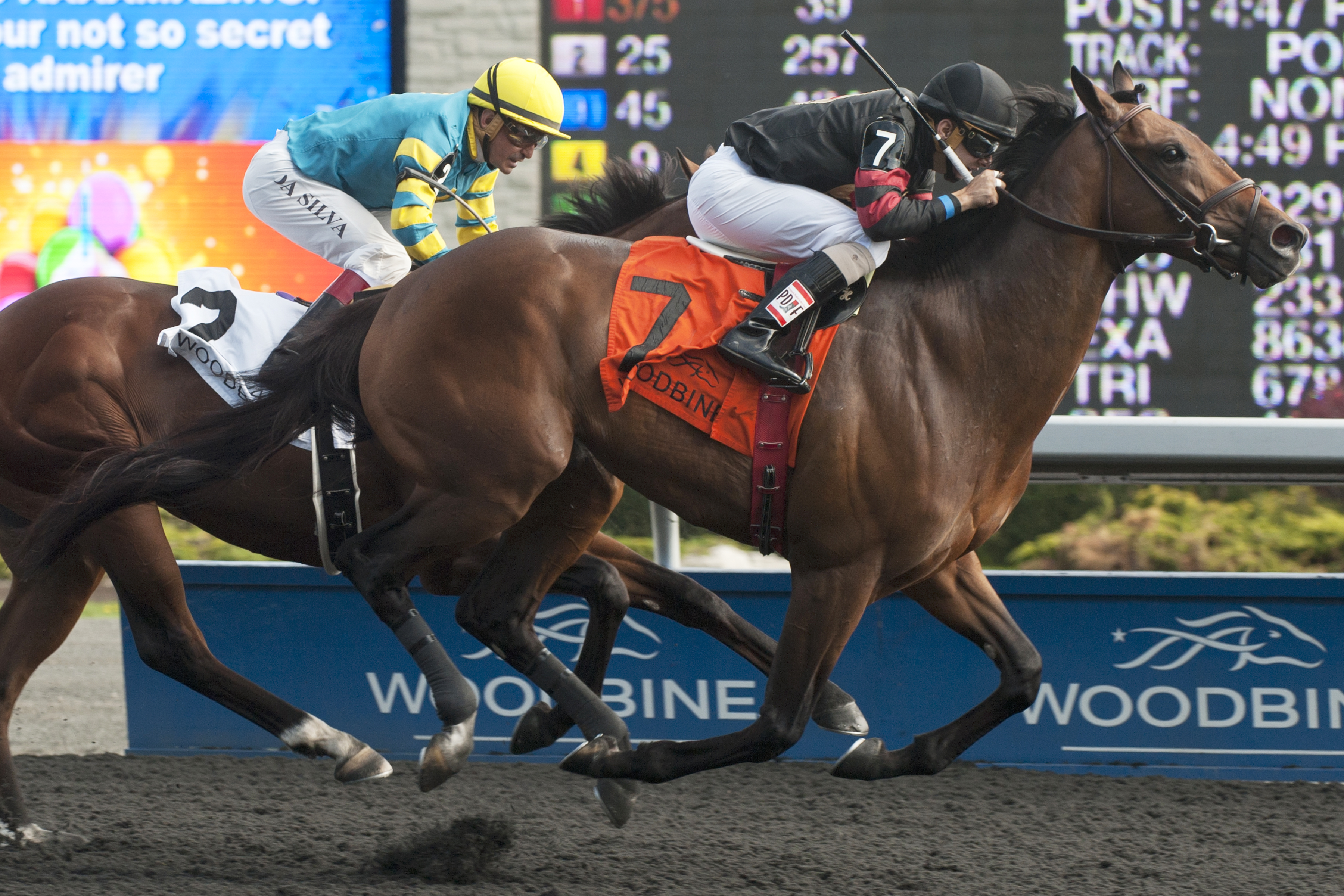 Shaman Ghost wins the Marine Stakes