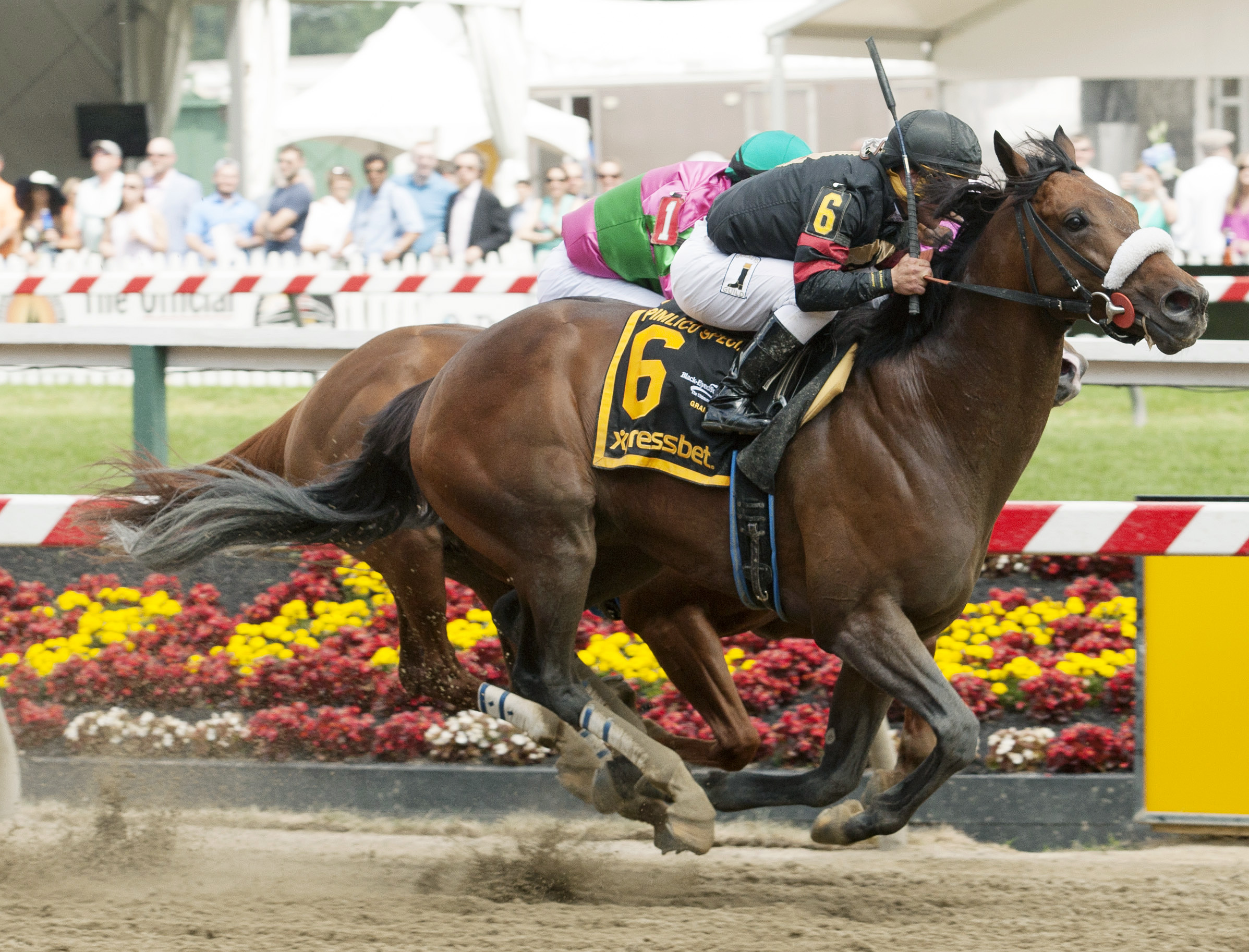 Shaman Ghost wins the Pimlico Special
