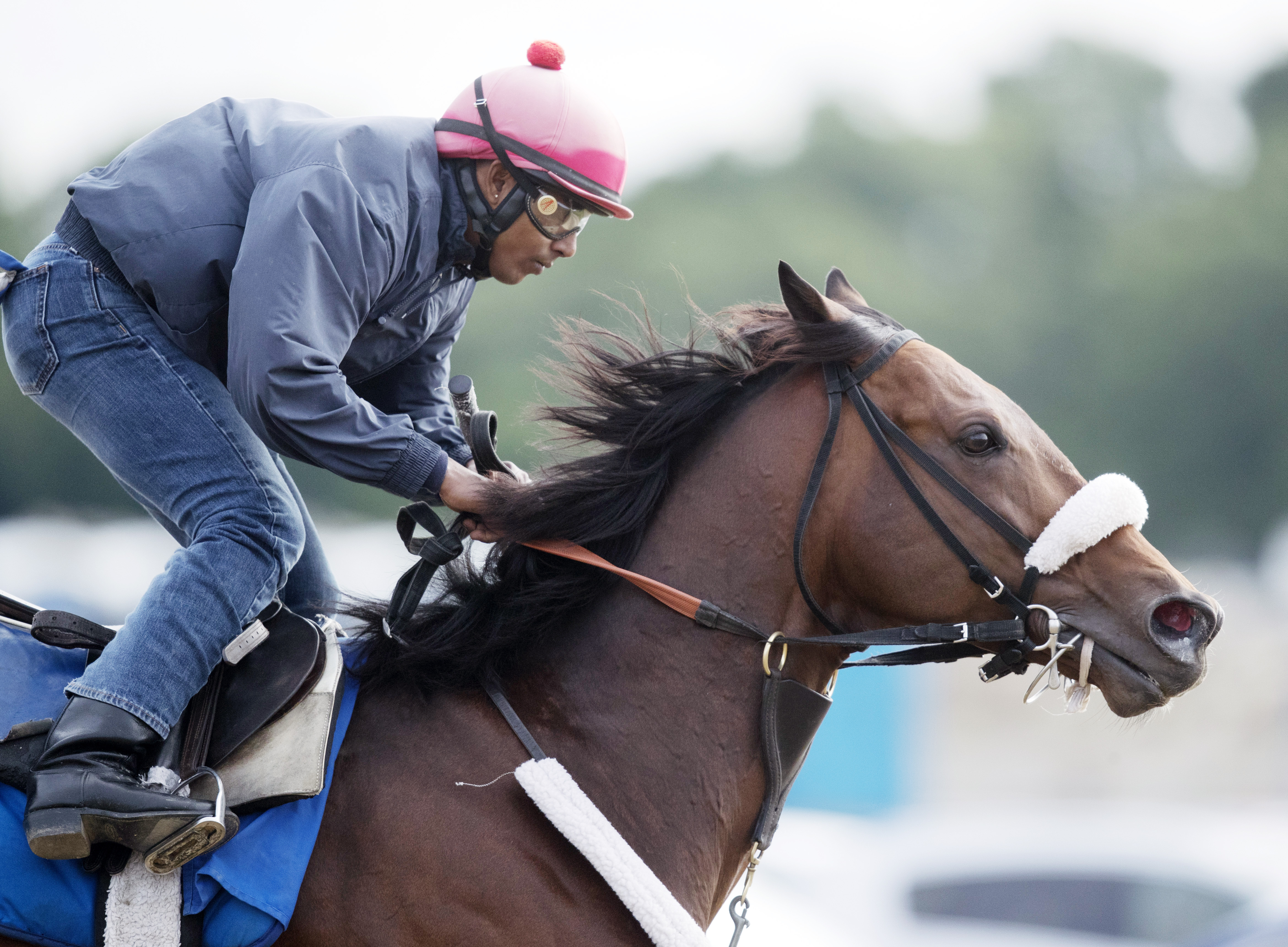 Shaman Ghost at Belmont in June 2017
