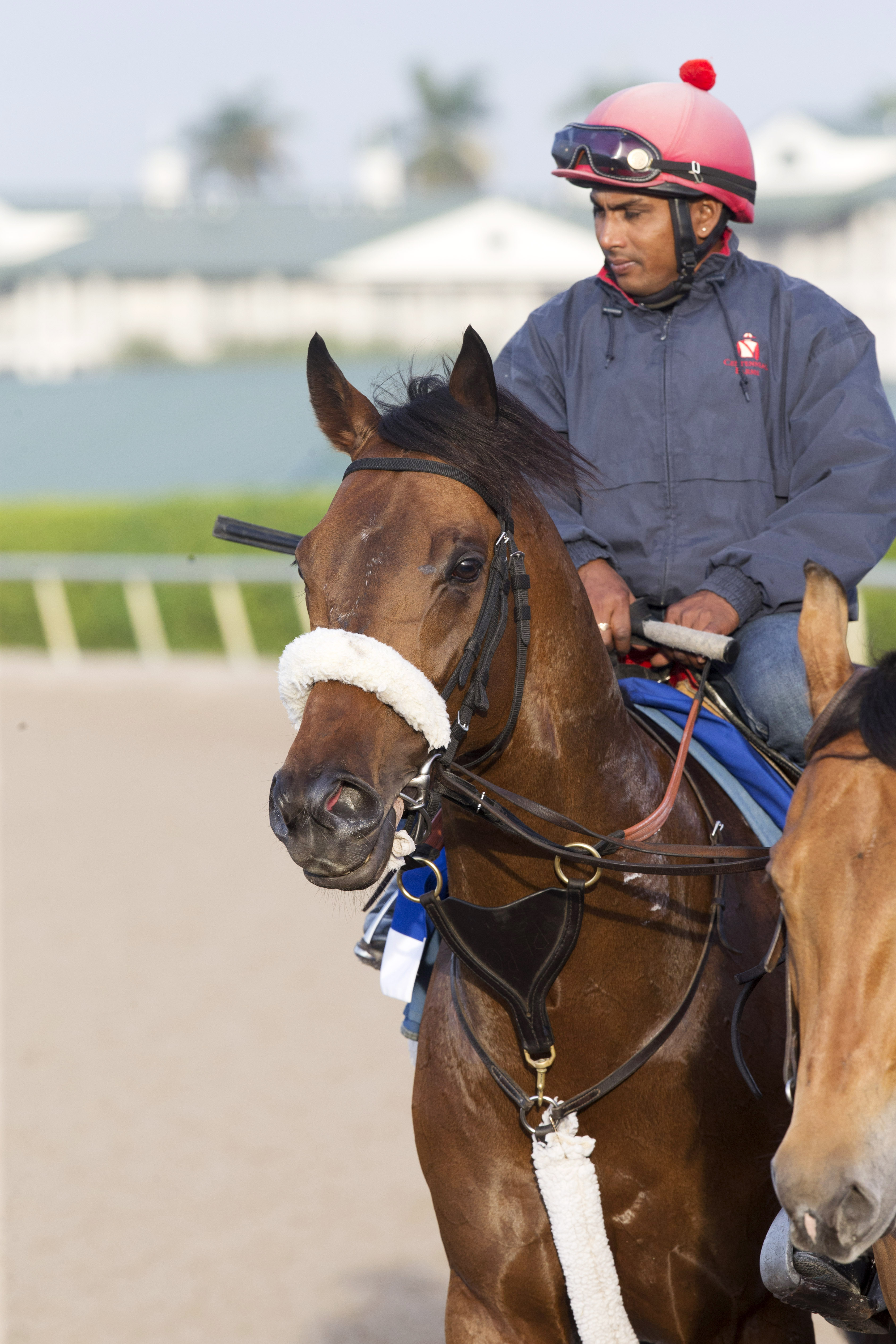 Shaman Ghost at Santa Anita on Jan. 27