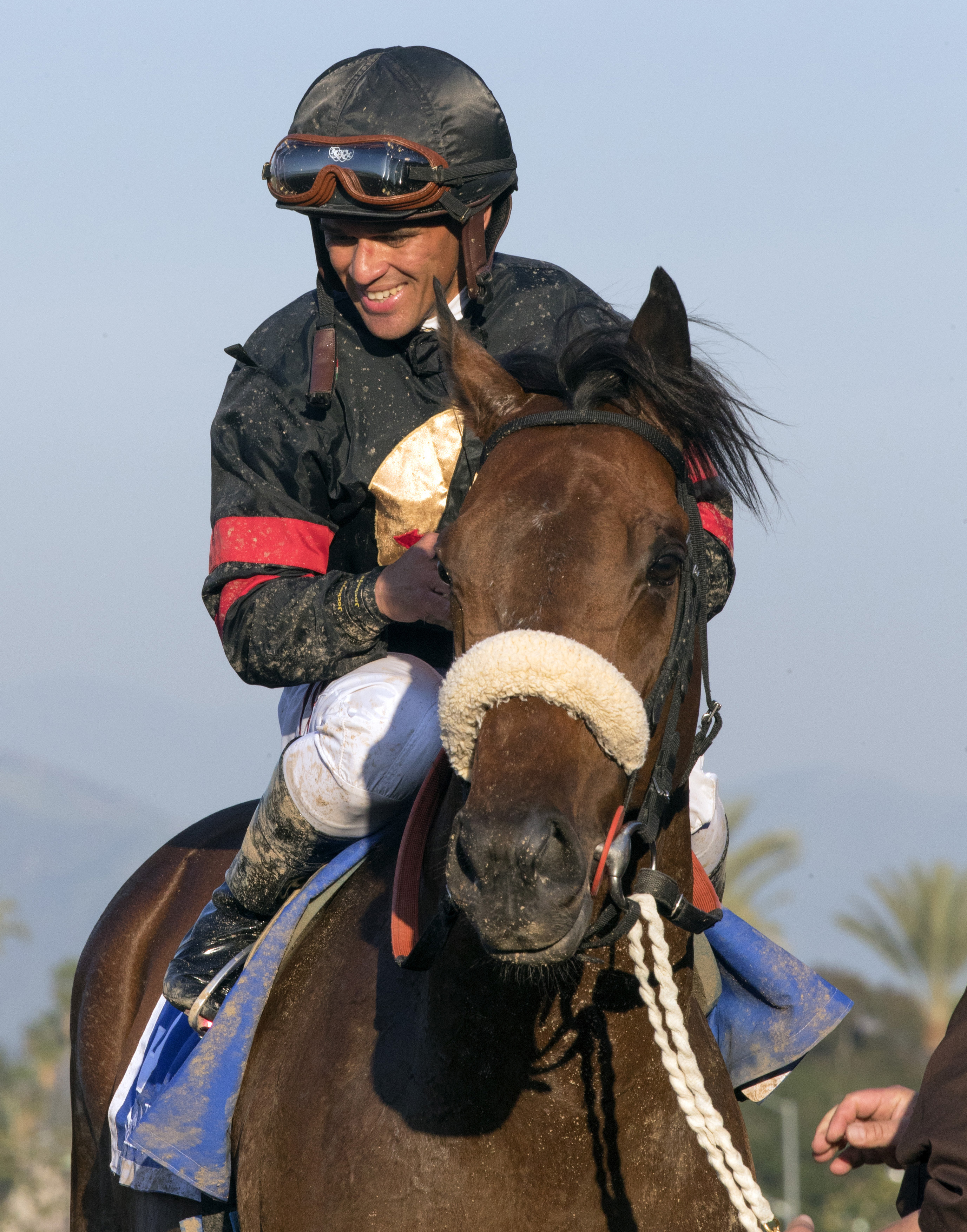 Shaman Ghost after winning the Santa Anita Handicap