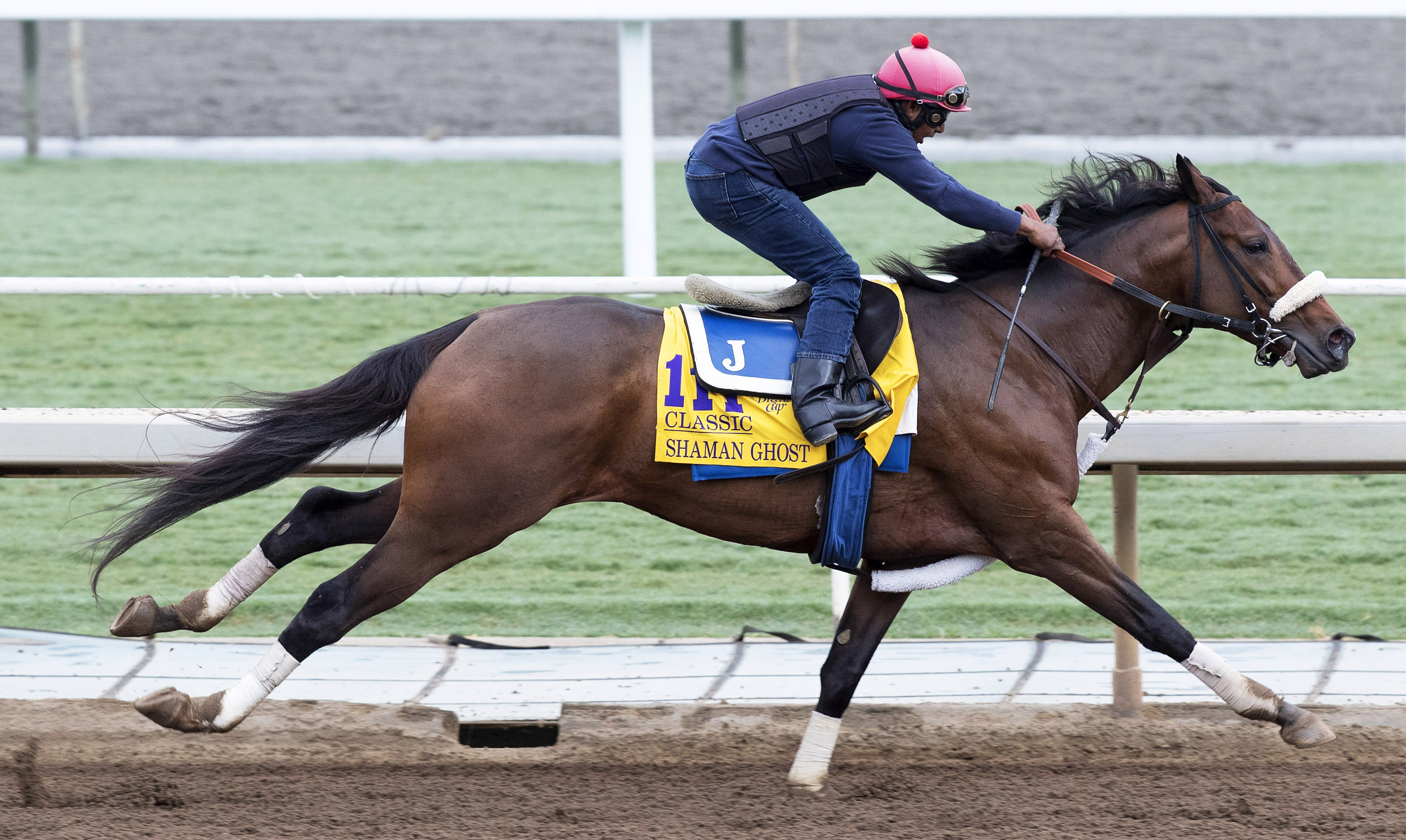 Shaman Ghost training at Santa Anita in October