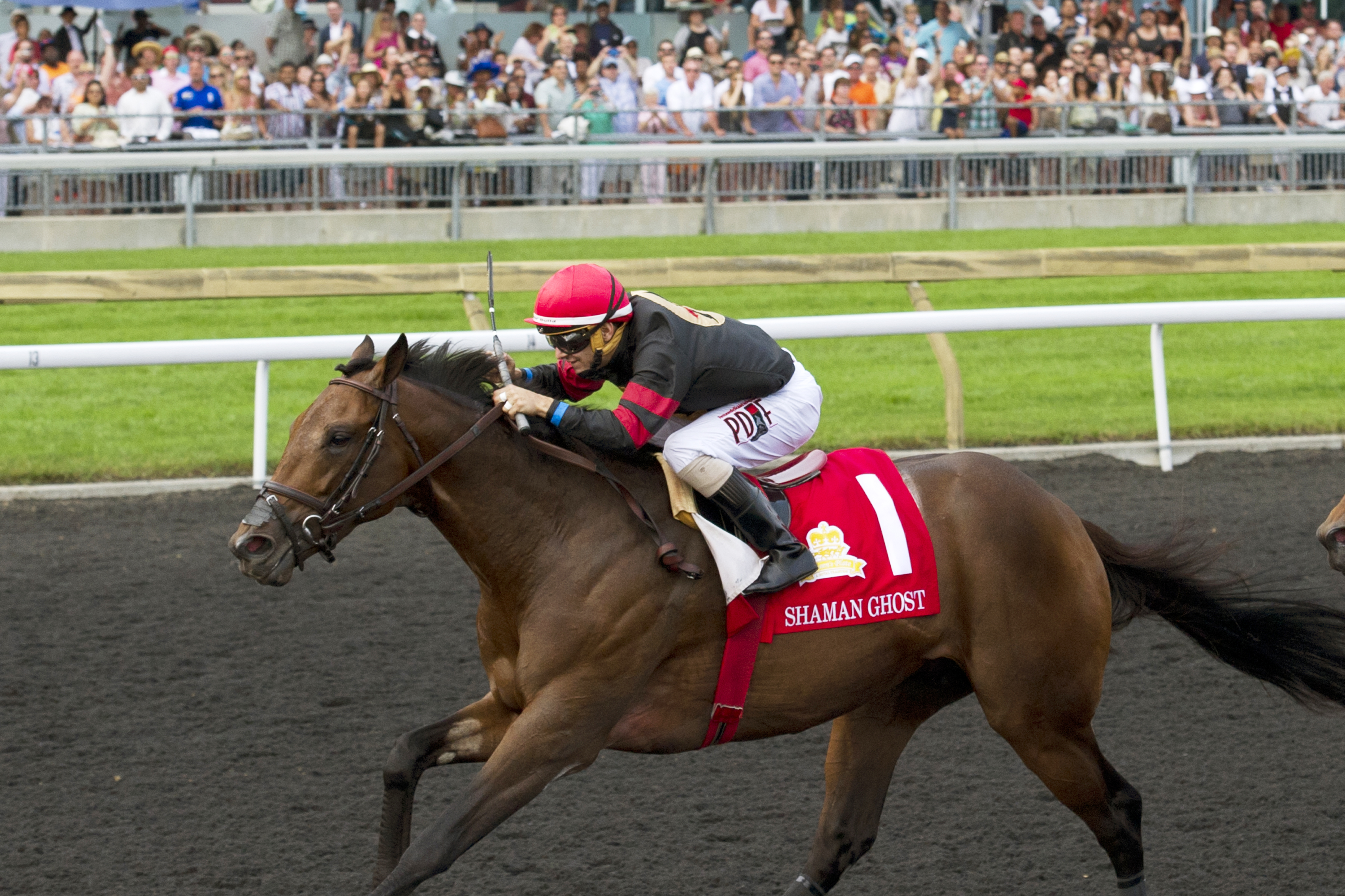 Shaman Ghost wins the Queen's Plate Stakes