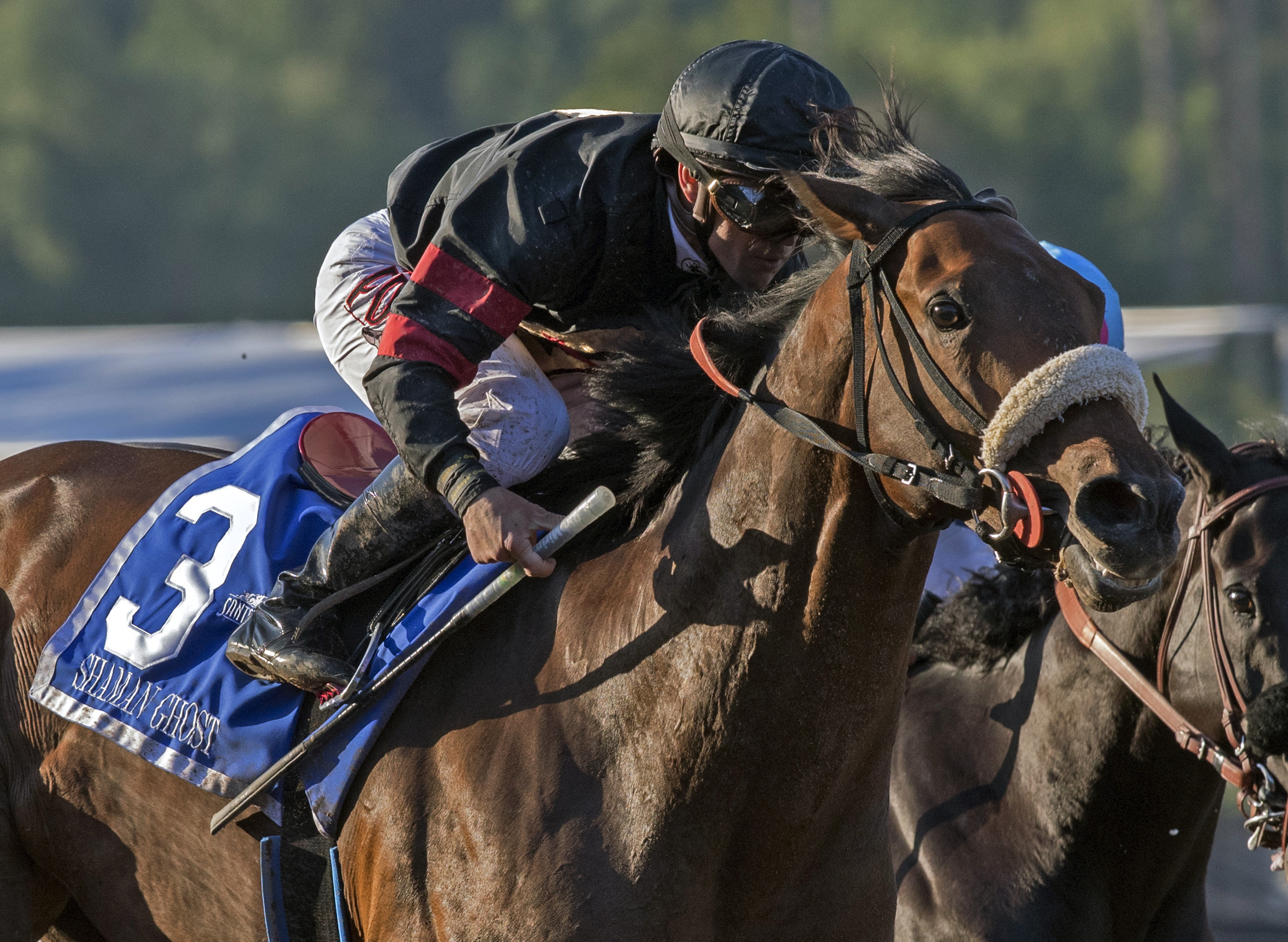 Shaman Ghost wins the Santa Anita Handicap