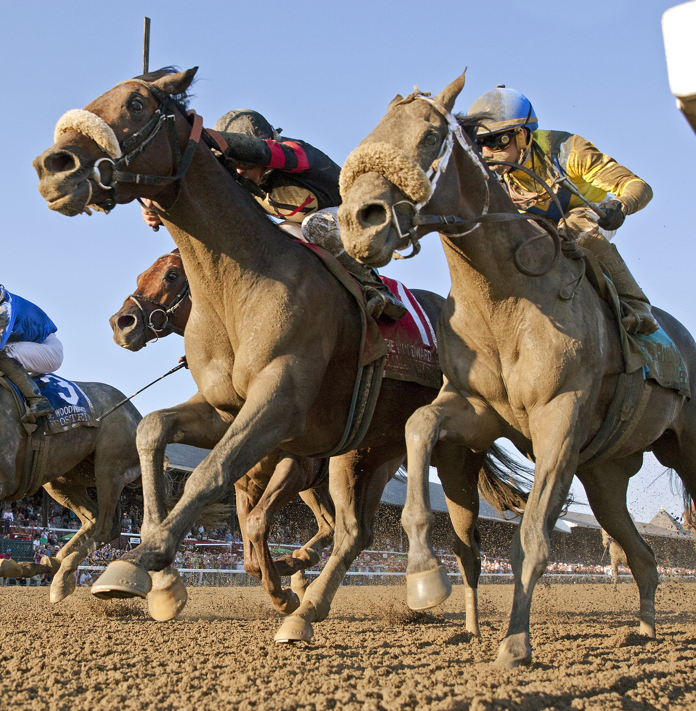 Mubtaahij finishes second to Shaman Ghost in the Woodward
