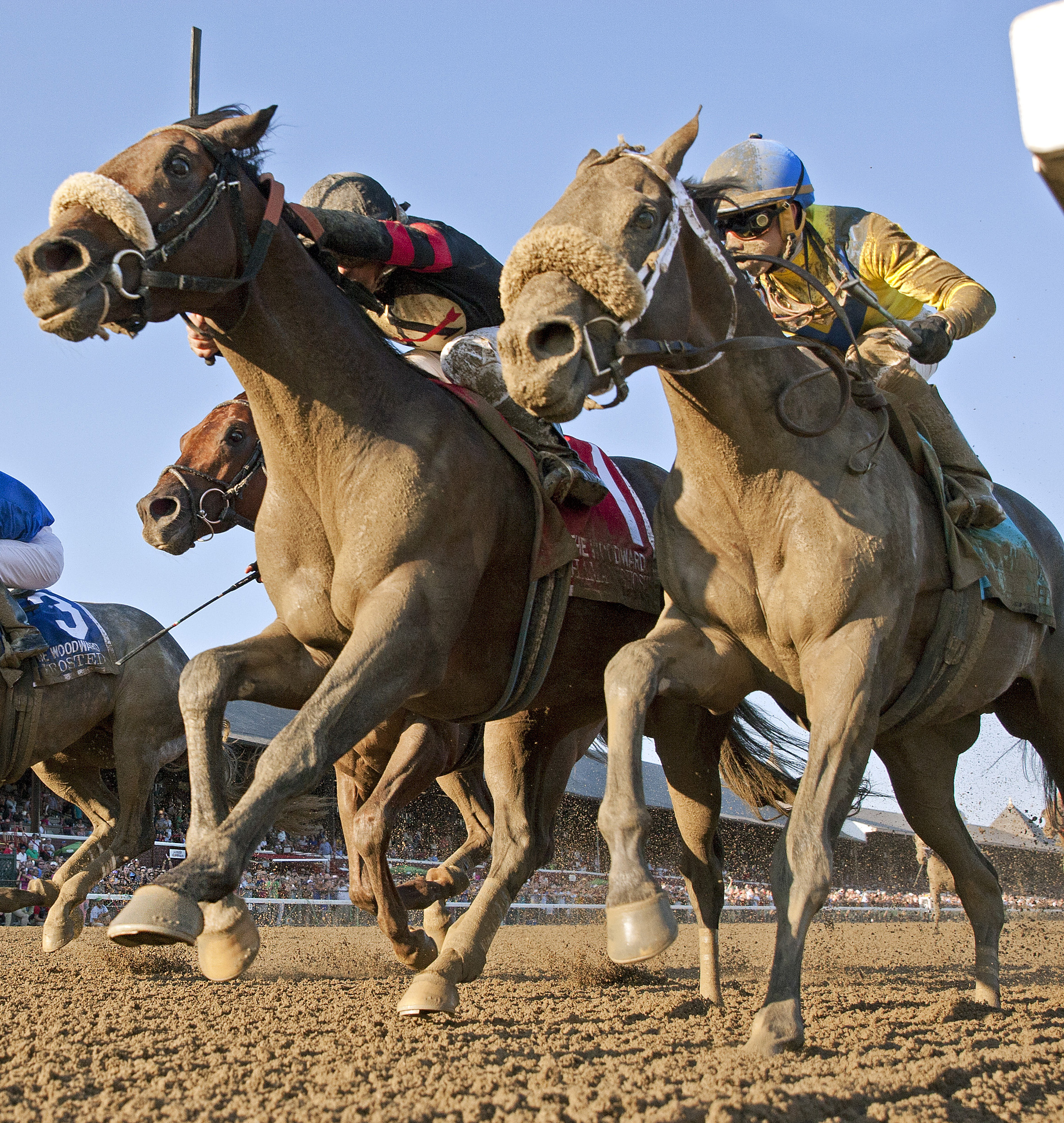 Mubtaahij finishes second in the Woodward Stakes