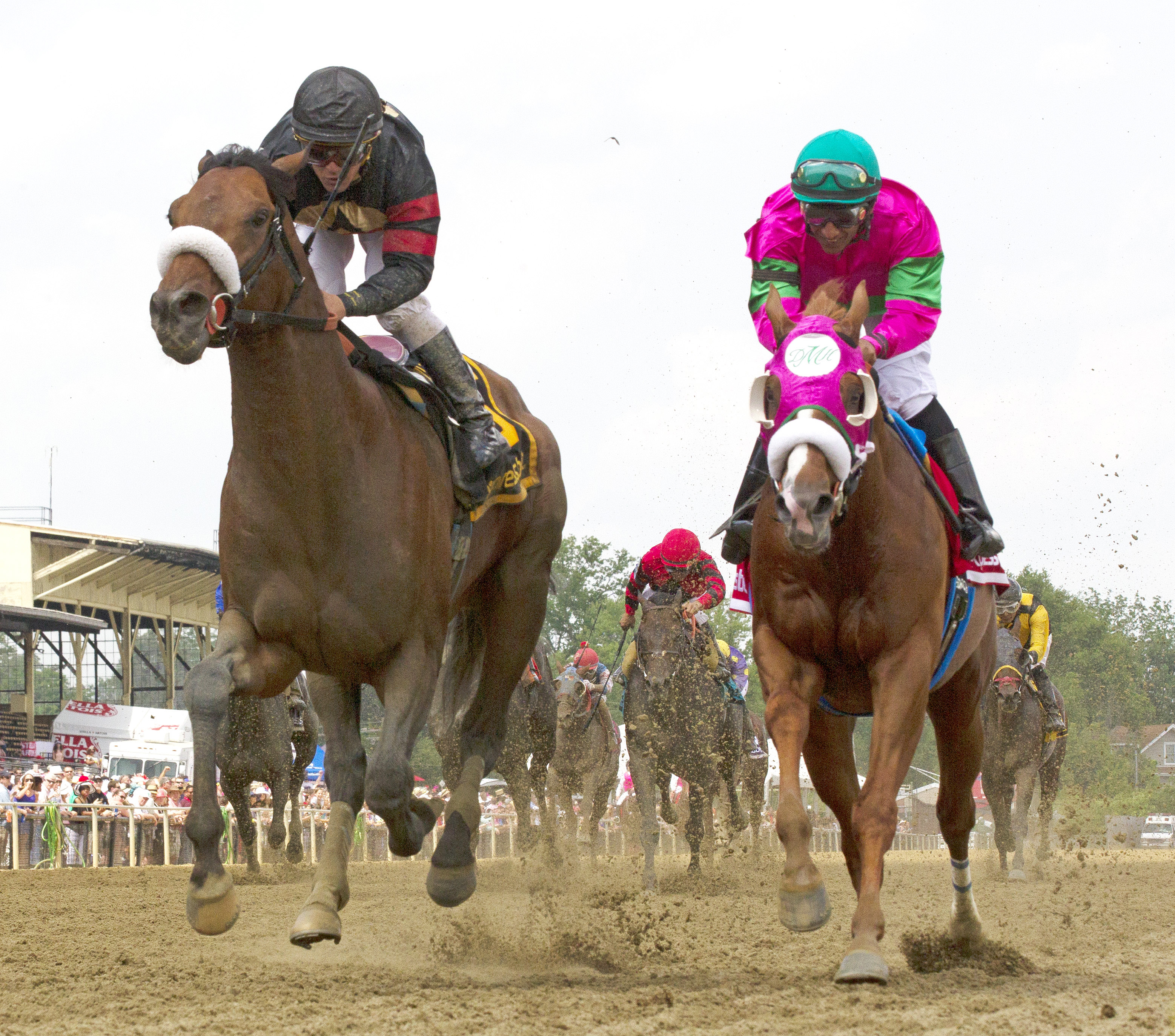 Dolphus finishes second in the Pimlico Special