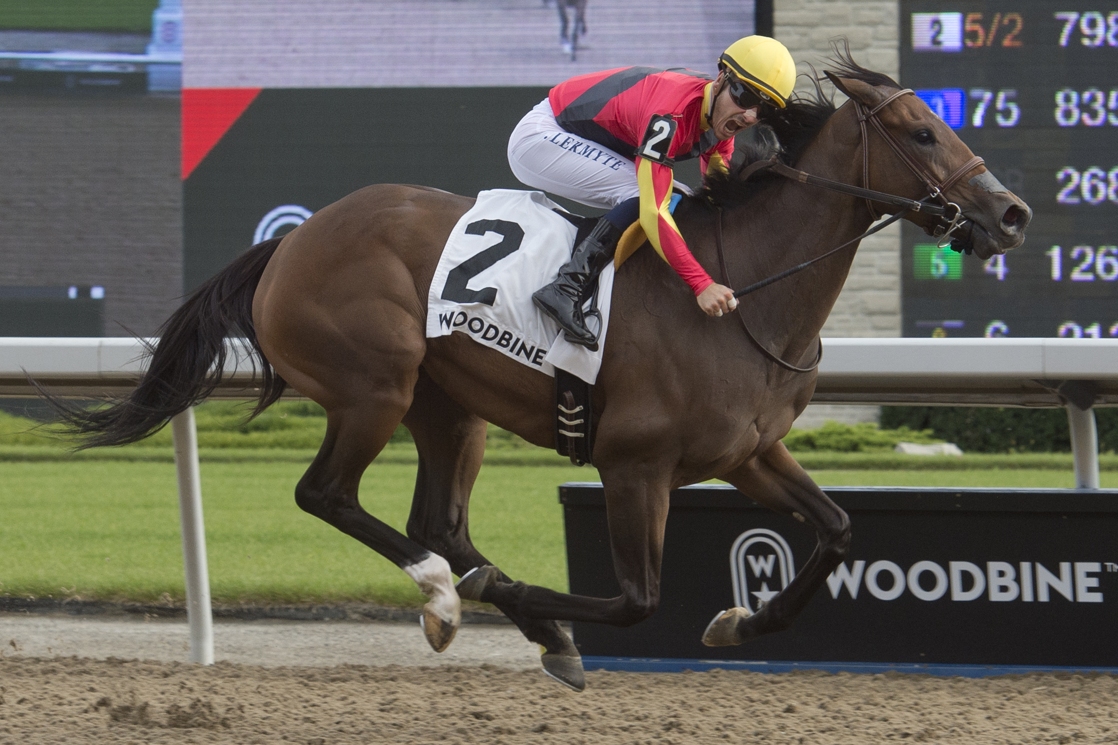 Shamrock Rose wins the 2018 La Lorgnette Stakes