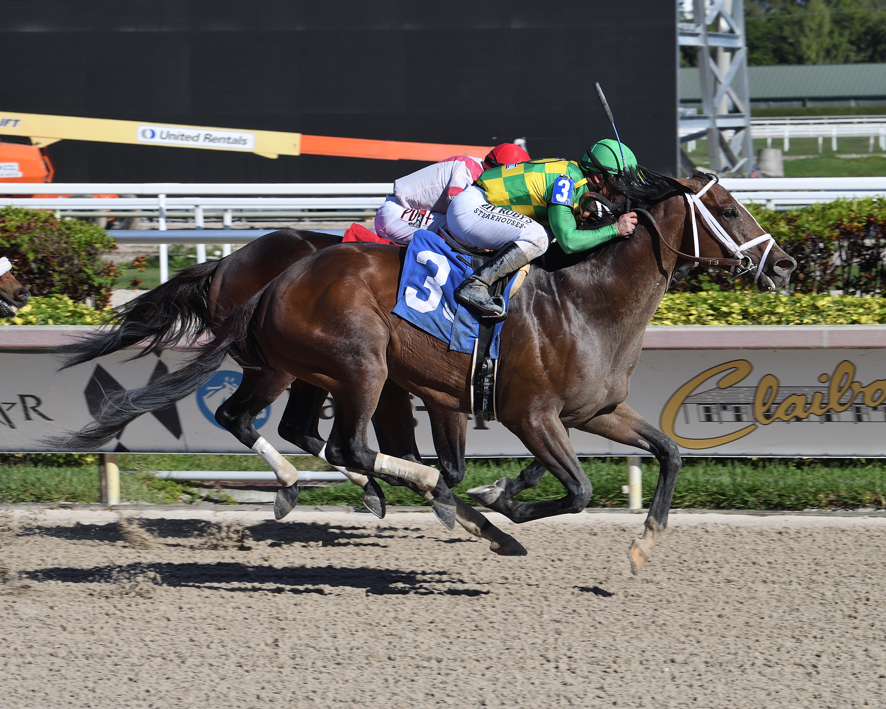 Shamrocket (3) wins the Sunshine Classic 1-15-2022