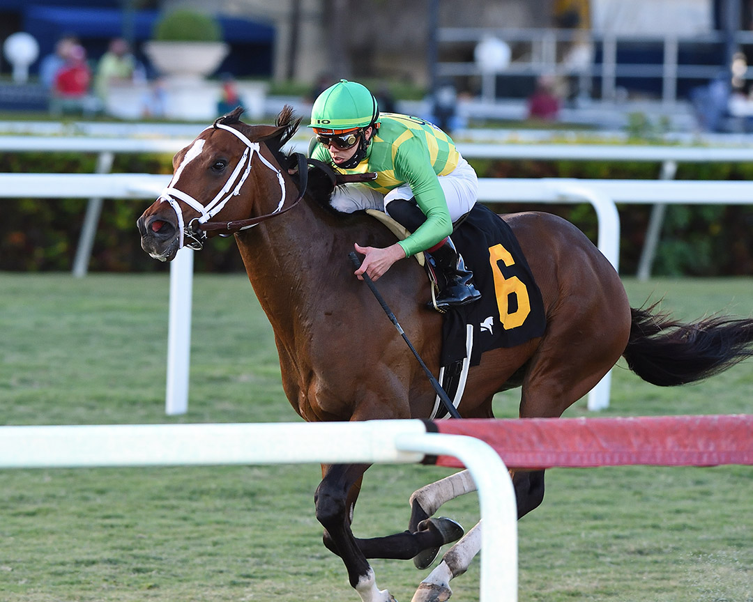 Shamrocket wins a Dec. 23 allowance at Gulfstream Park