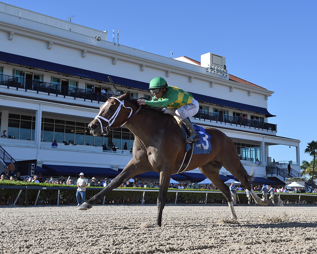 Shamrocket wins the 2022 Sunshine Classic Stakes at Gulfstream Park