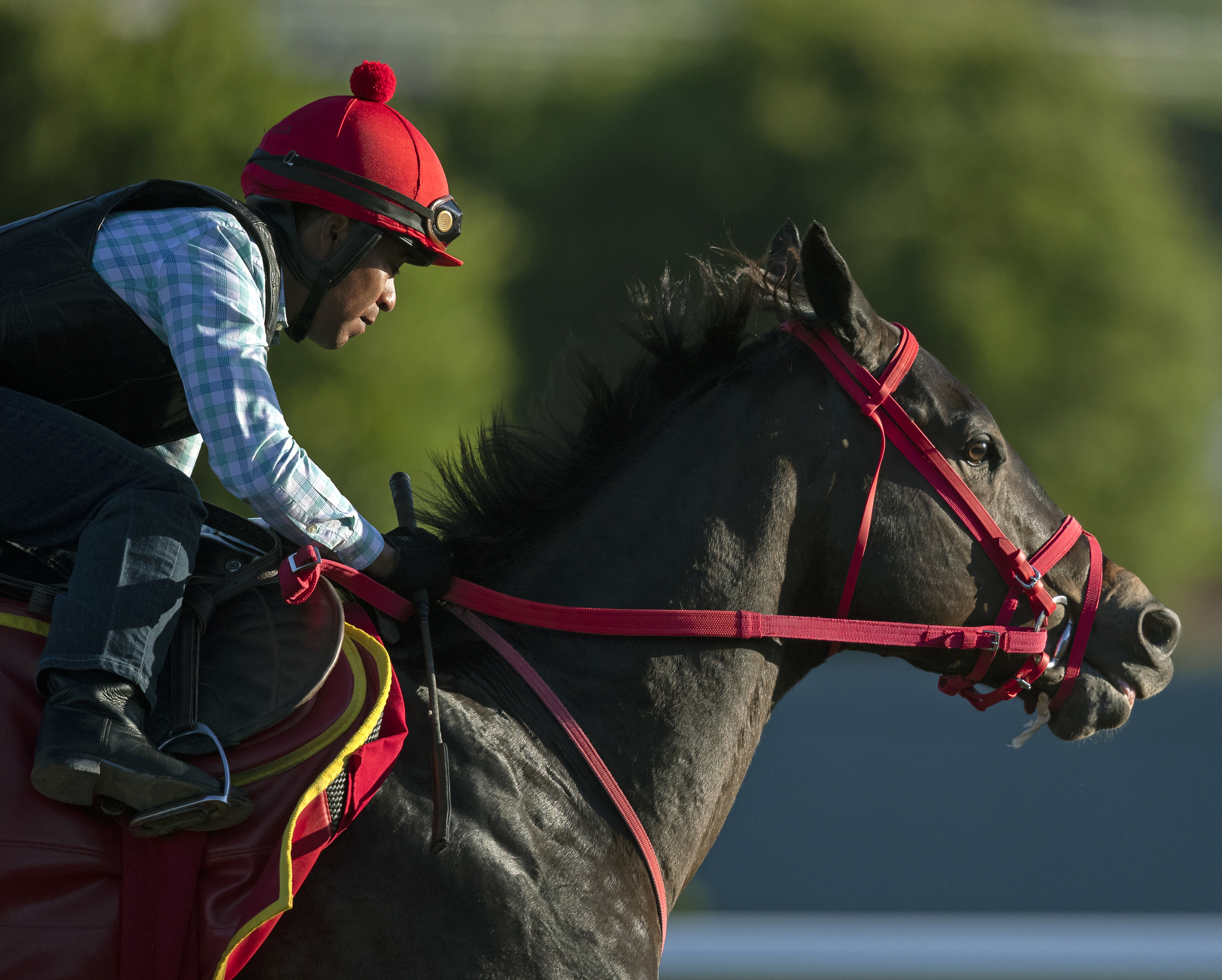 Shancelot/Santa Anita Oct. 19