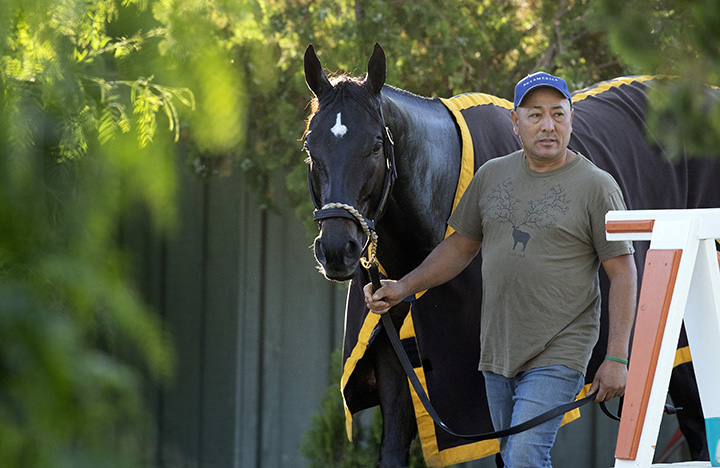 Shancelot at Santa Anita Park on Oct. 26