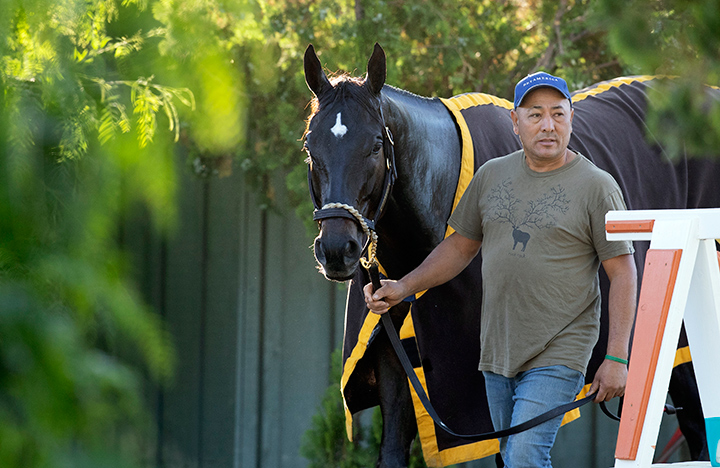 Shancelot at Santa Anita Park on Oct. 26