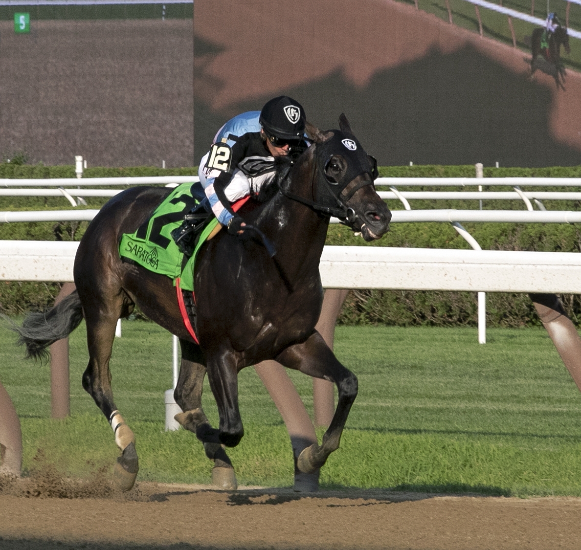 Shancelot wins the 2019 Amsterdam Stakes