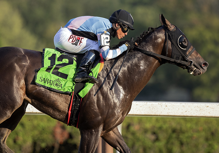 Shancelot wins the Amsterdam Stakes at Saratoga Race Course