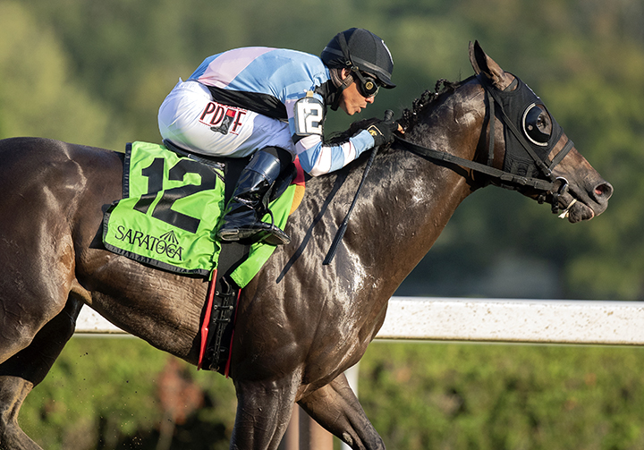 Shancelot wins the Amsterdam Stakes at Saratoga Race Course
