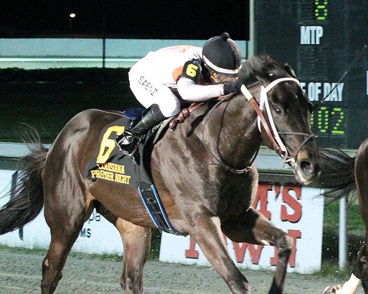 Shang wins the 2019 Louisiana-bred Premier Night Prince Stakes
