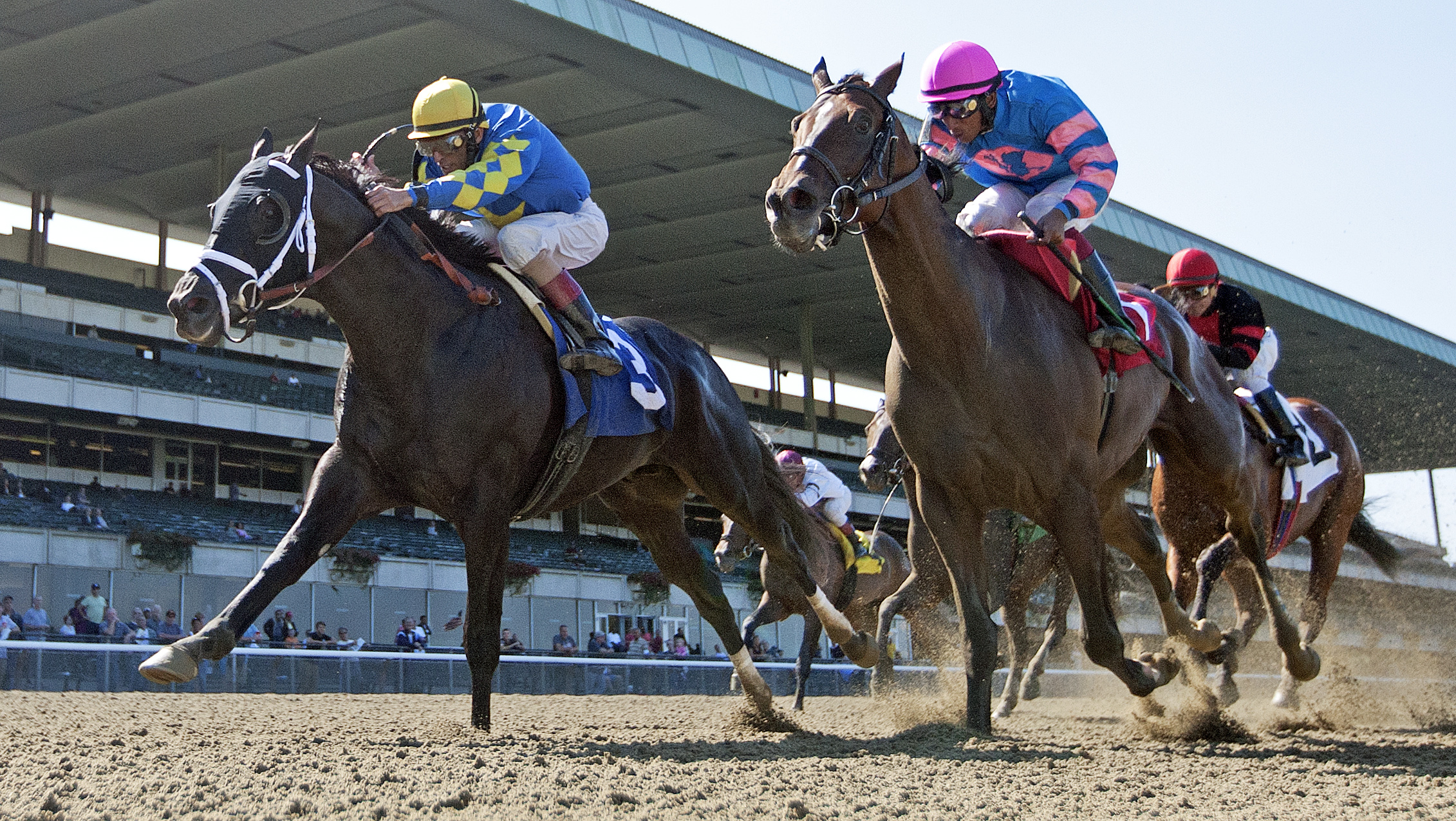 Shanghai Bobby, Aljamin Stakes, Sept. 20, 2013; Slan Abhaile 2nd