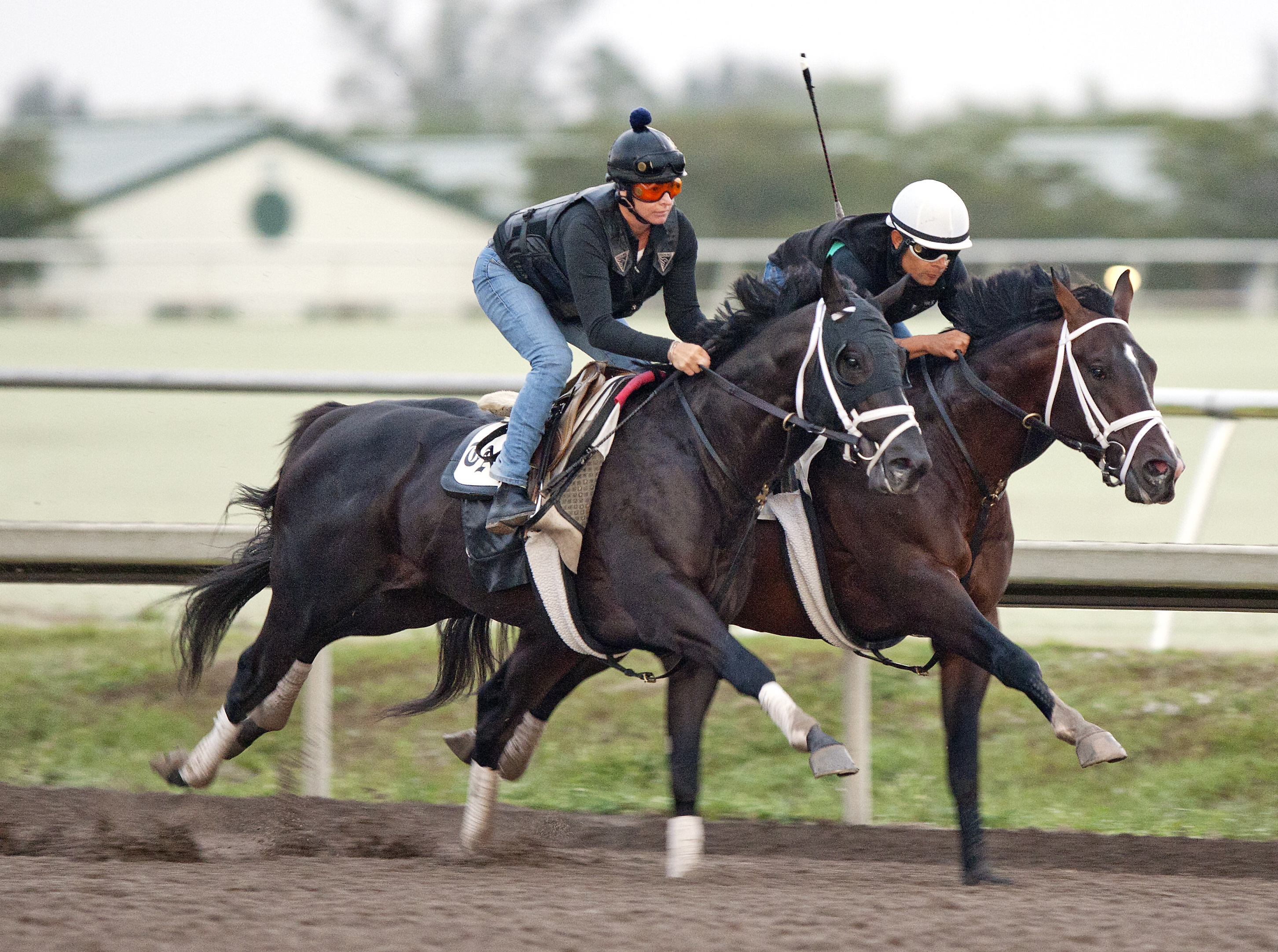 Shanghai Bobby and Verrazano training