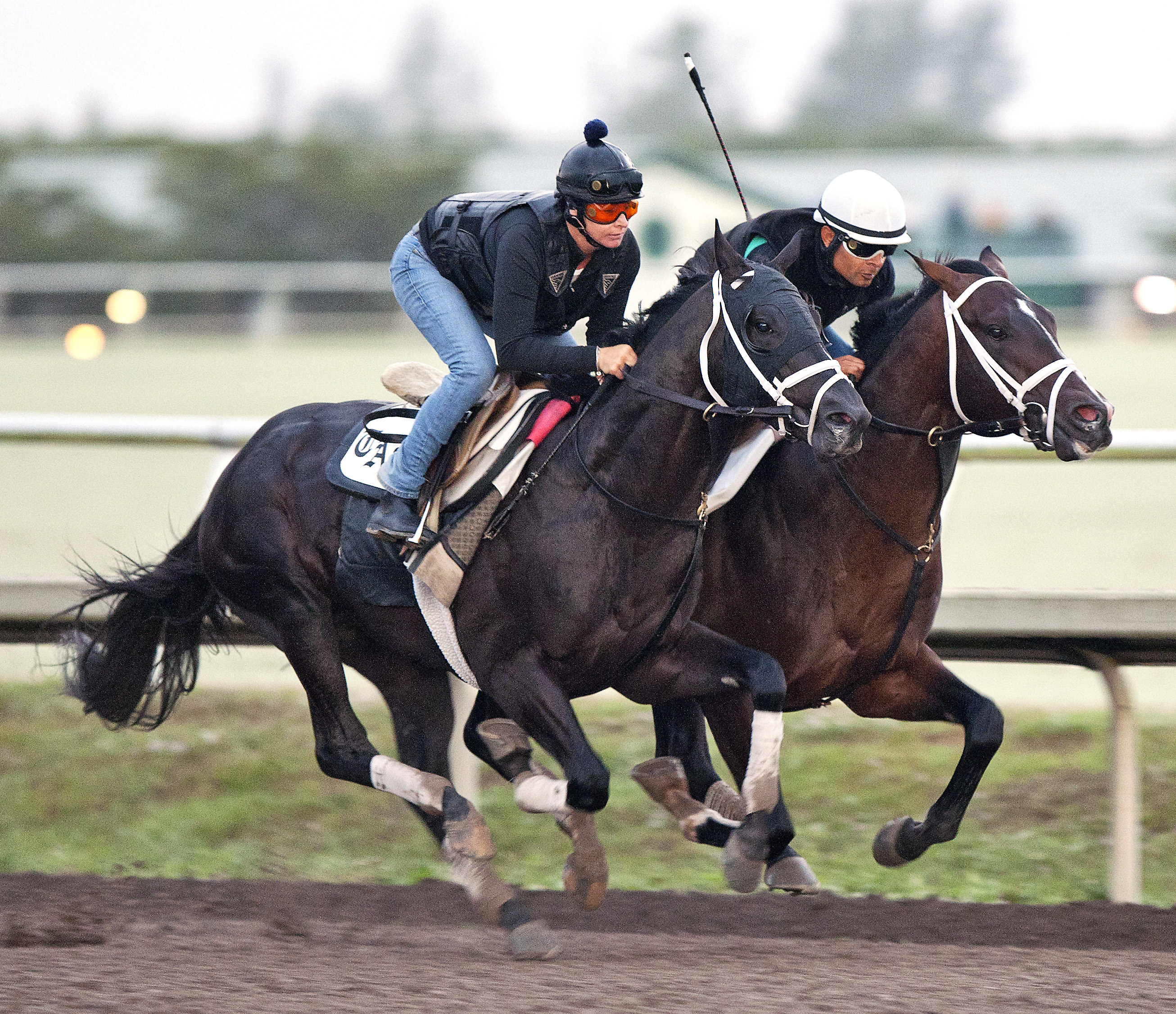 Shanghai Bobby gets final tune-up before Holy Bull