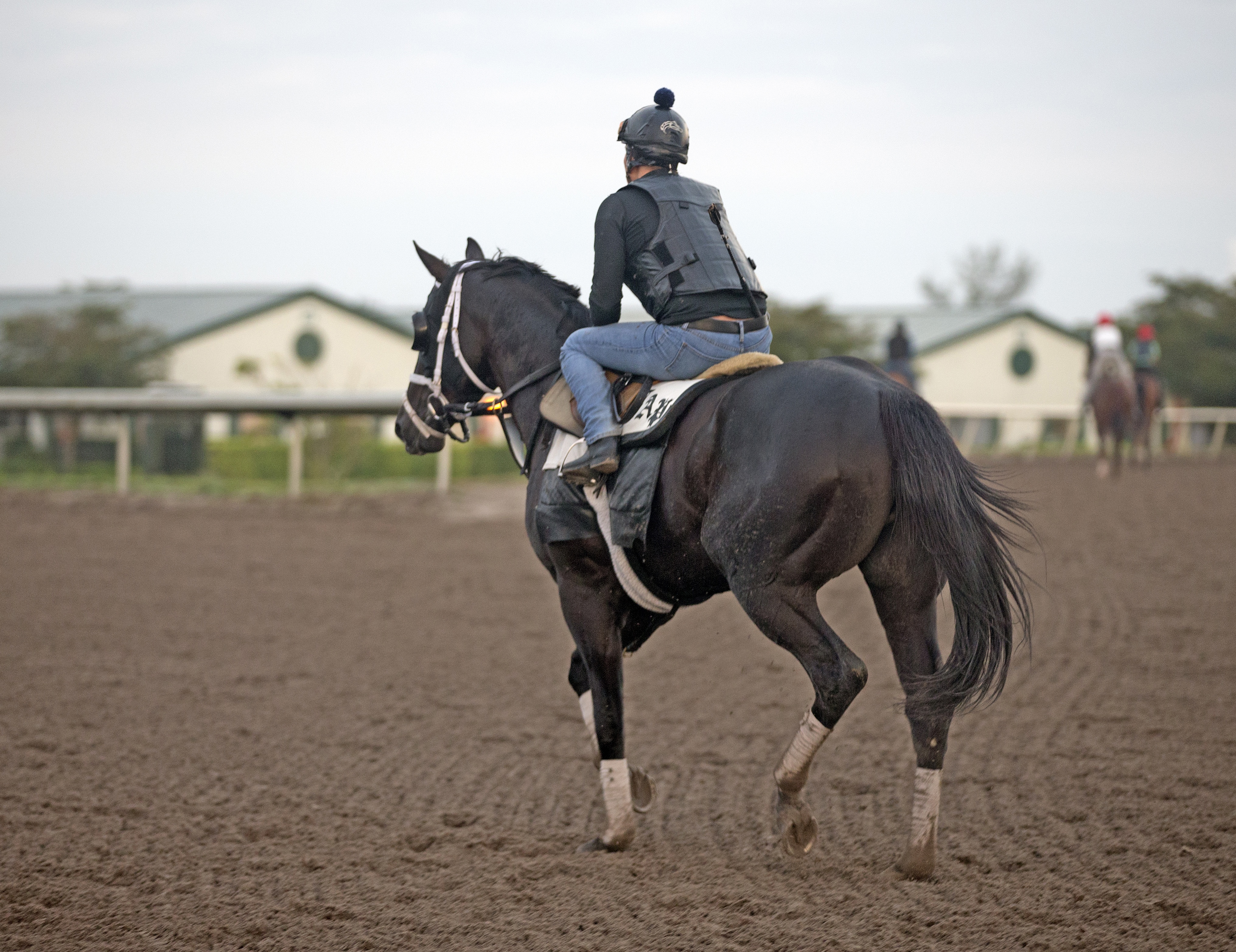 Shanghai Bobby at Palm Meadows Training Center