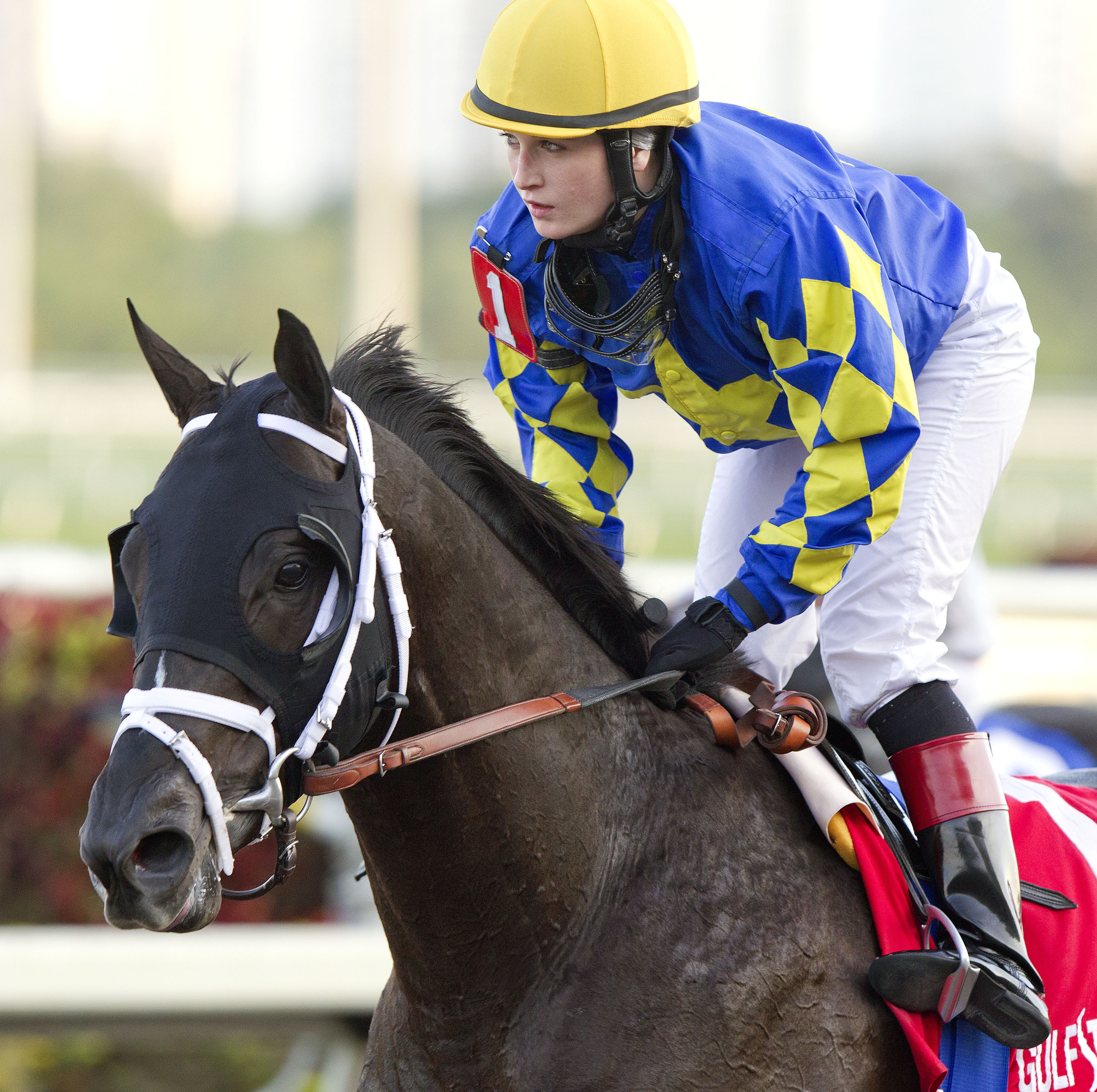 Shanghai Bobby, Rosie Napravnik, Holy Bull