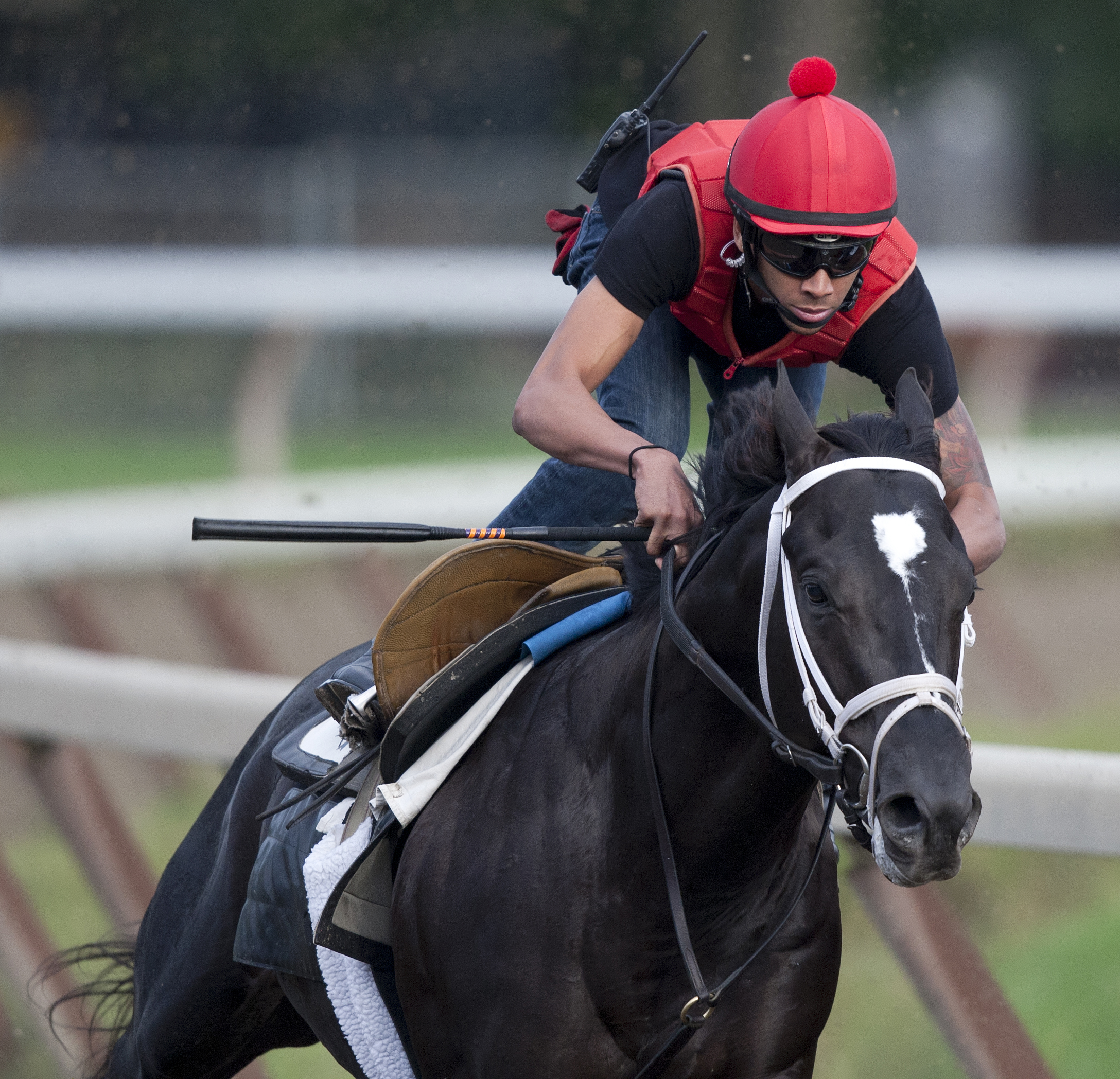 Shanghai Bobby at Saratoga on Sept. 13