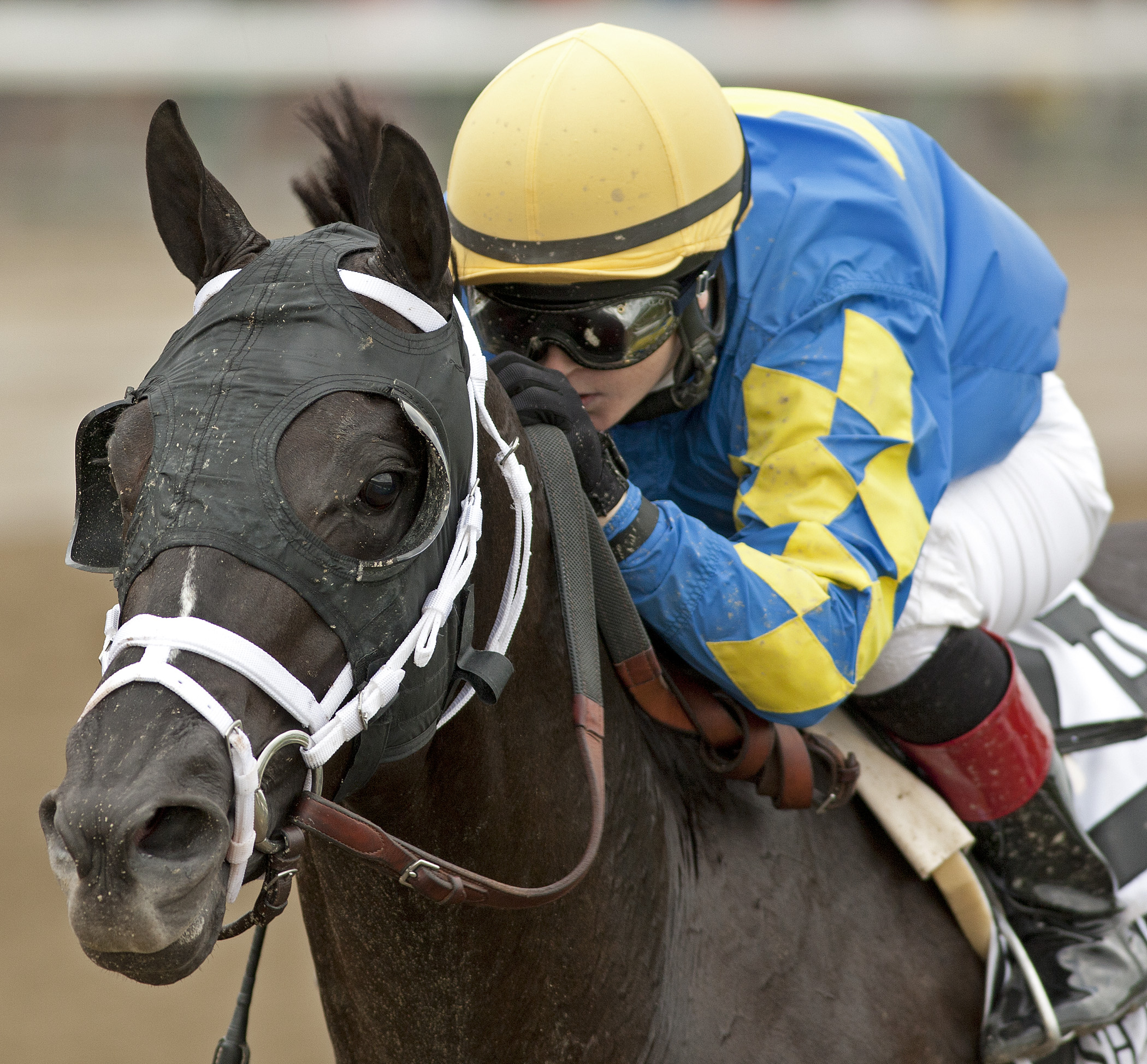 Shanghai Bobby/Three Chimneys Hopeful