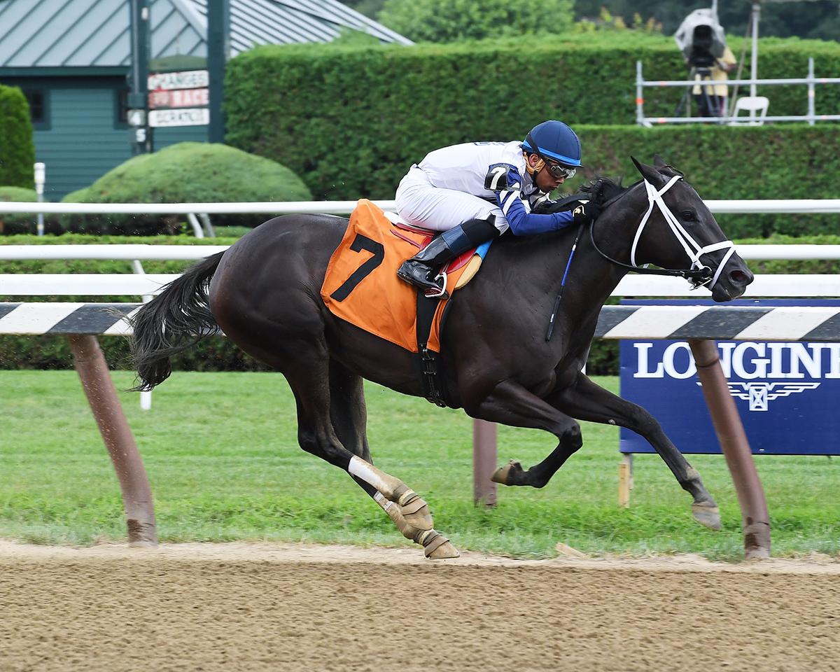 Shanghai Dreams wins an Aug. 13 maiden race