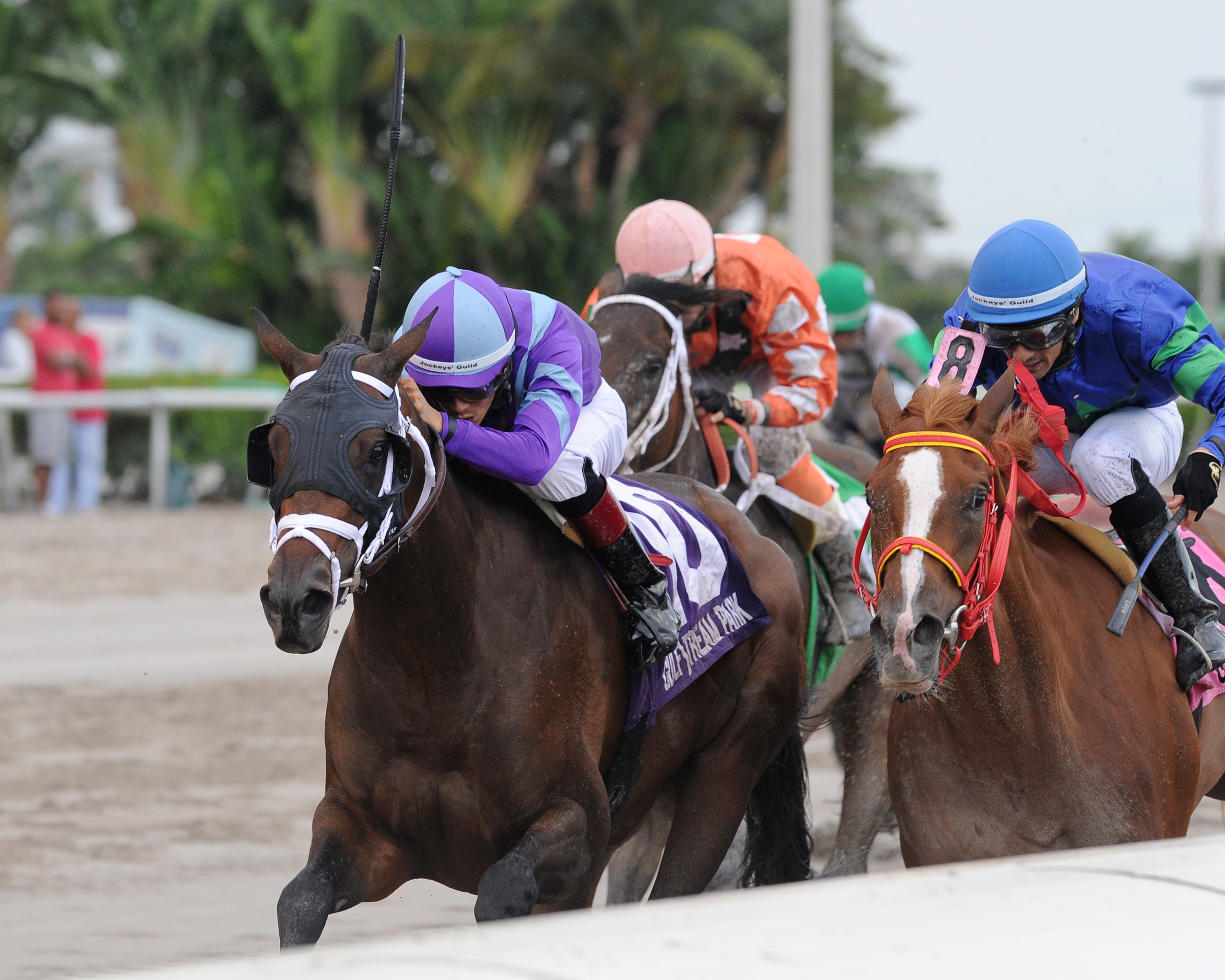 Shanghai Starlet wins 2018 Panama City