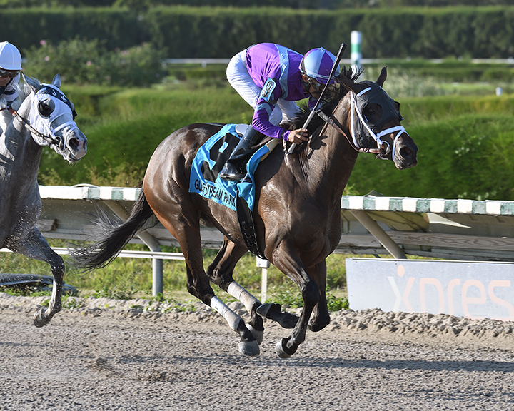 Shanghai Starlet wins the 2018 Sunshine Millions Distaff
