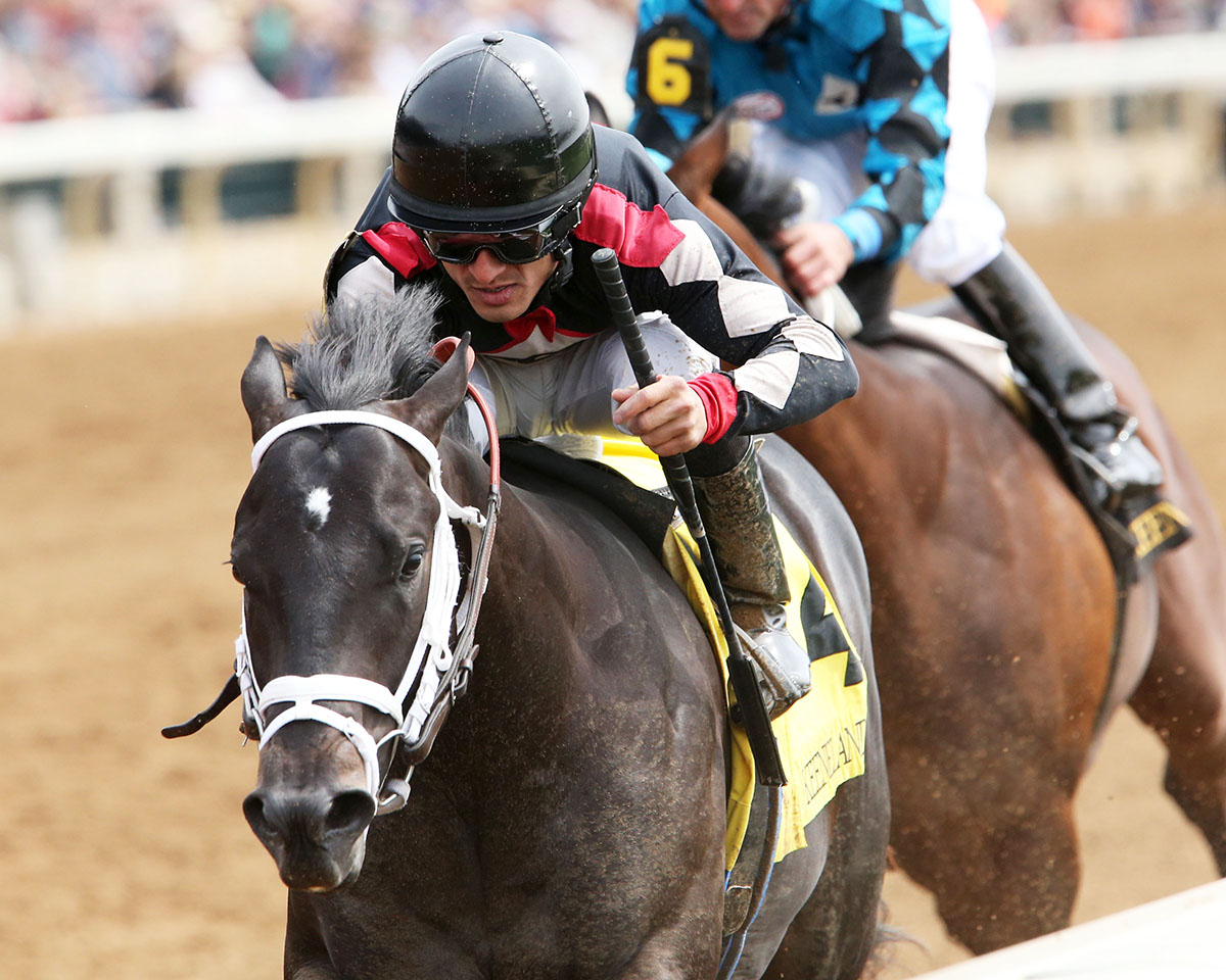 Shanghaied Roo wins an April 6 maiden race
