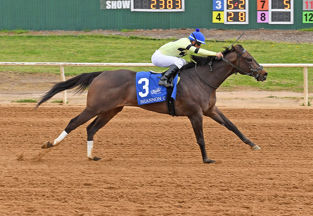 Shannon C wins the 2022 TRAO Classic Sprint at Will Rogers Downs