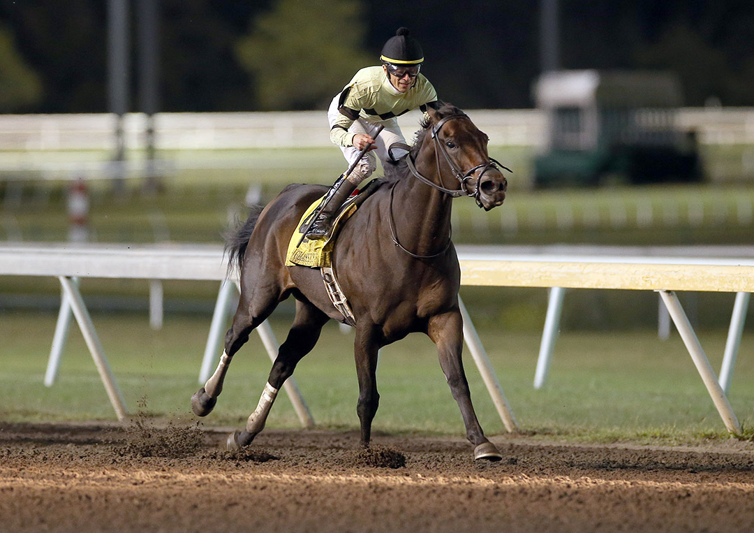 Shannon C wins the 2021 Oklahoma Classics Sprint at Remington Park