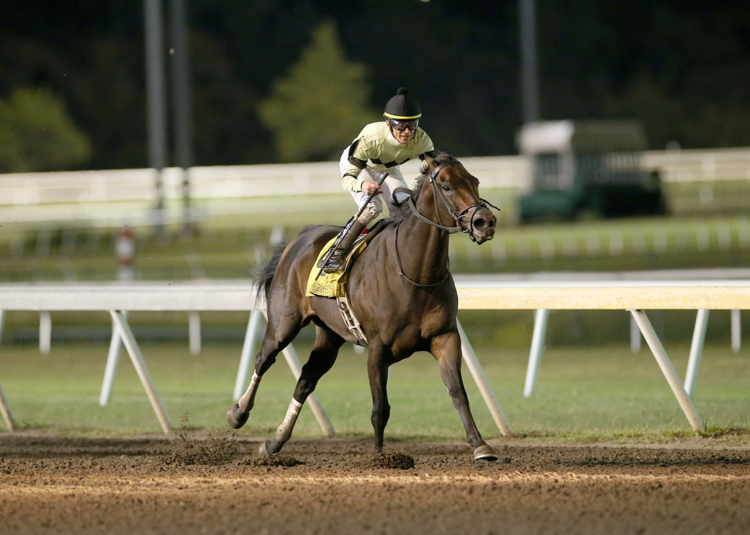 Shannon C wins the 2021 Oklahoma Classics Sprint at Remington Park