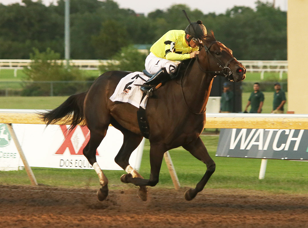 Shannon C wins the 2018 Oklahoma Stallion Stakes colts and geldings division at Remington Park