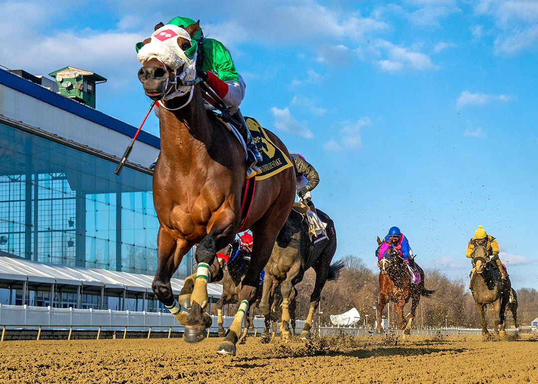Share the Ride wins the 2021 General George Stakes at Laurel Park