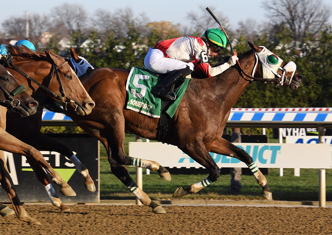 Share the Ride wins the 2020 Fall Highweight Handicap at Aqueduct