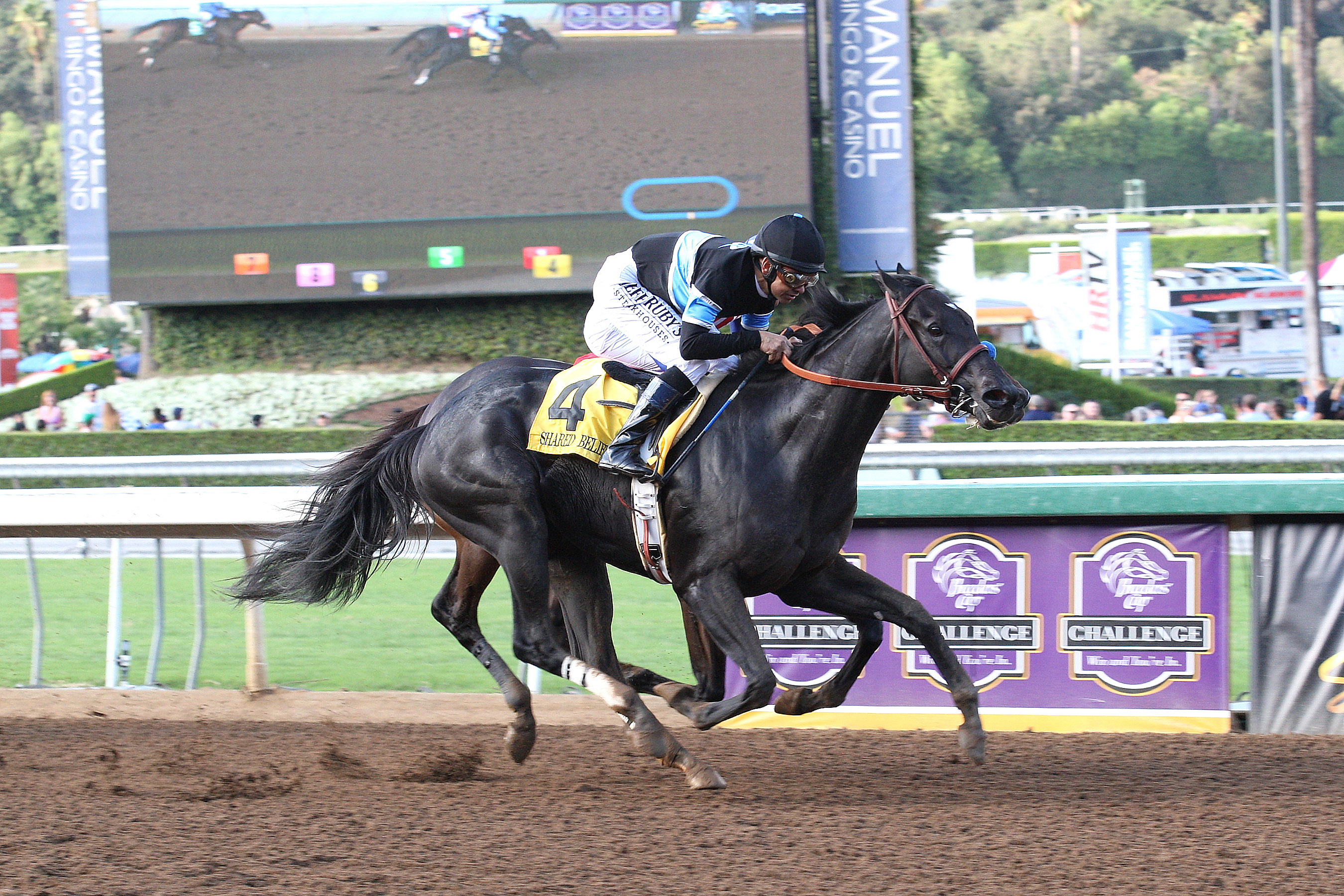 Shared Belief wins 2014 Awesome Again