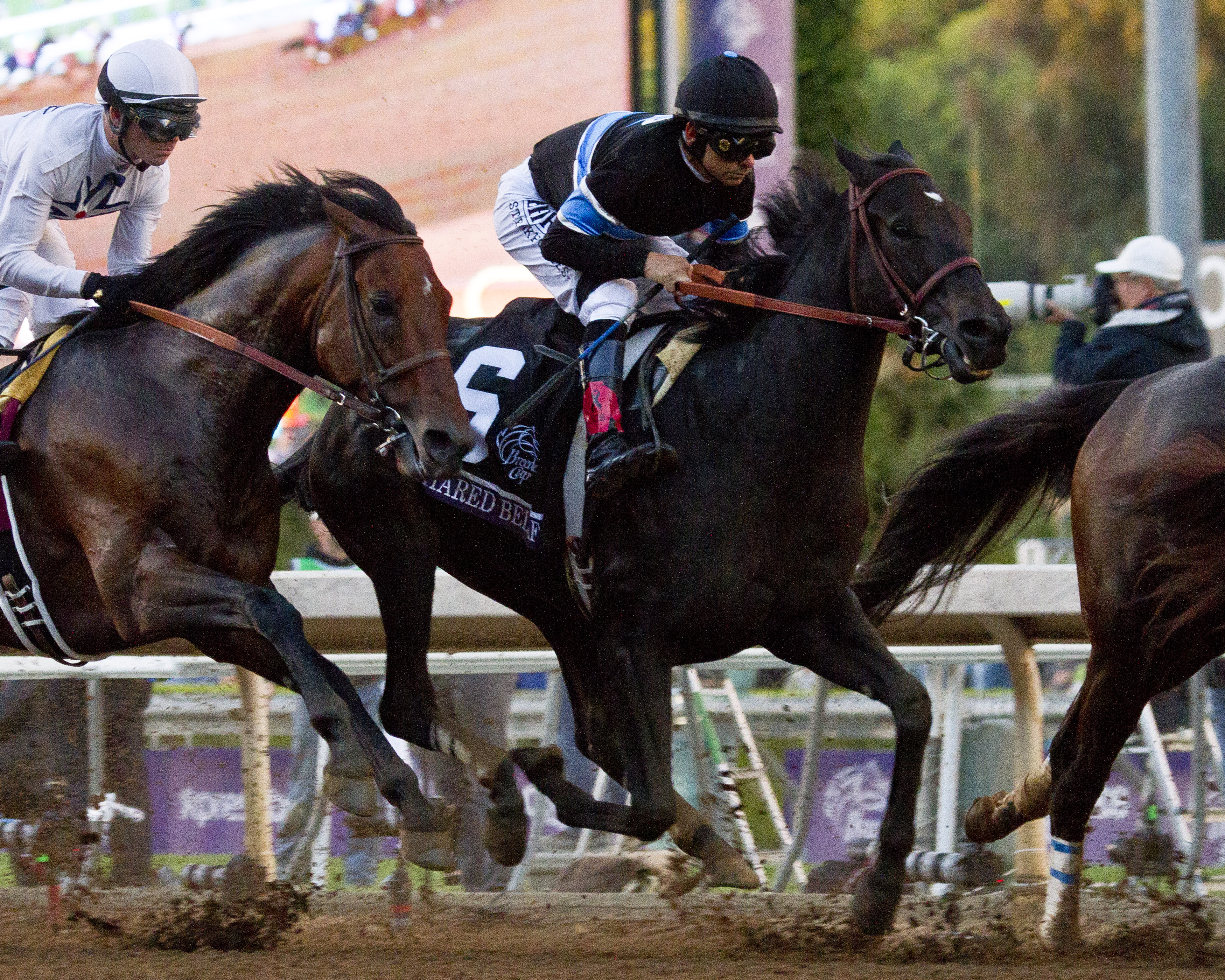 Shared Belief 11-1-2014