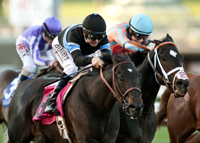 Shared Belief