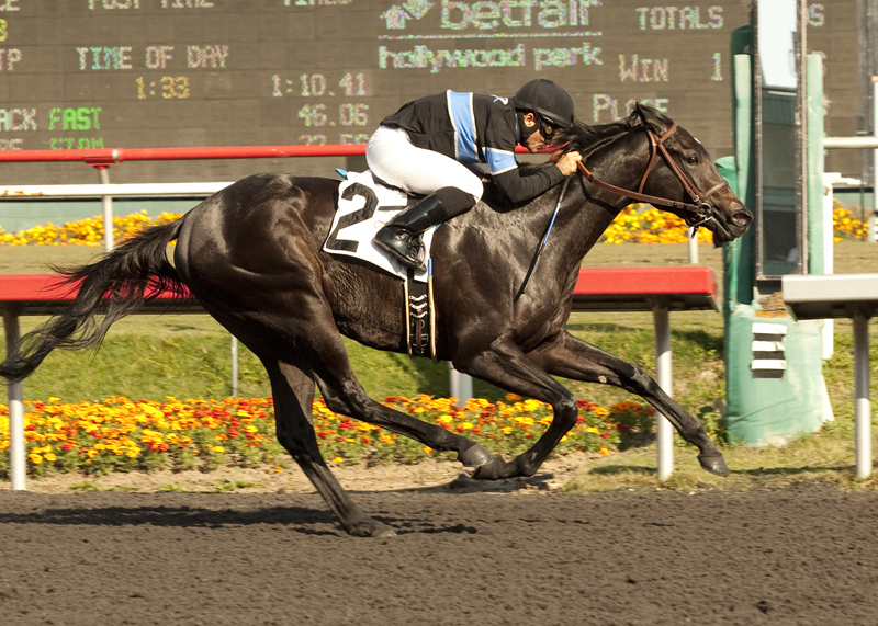 Shared Belief