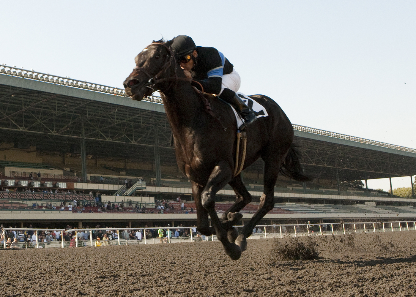 Shared Belief