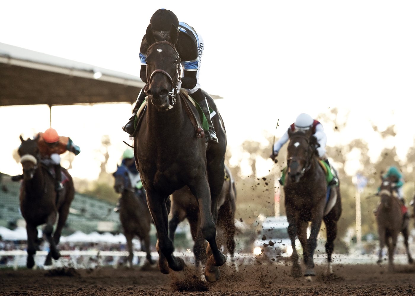 Shared Belief wins 2015 Santa Anita Handicap