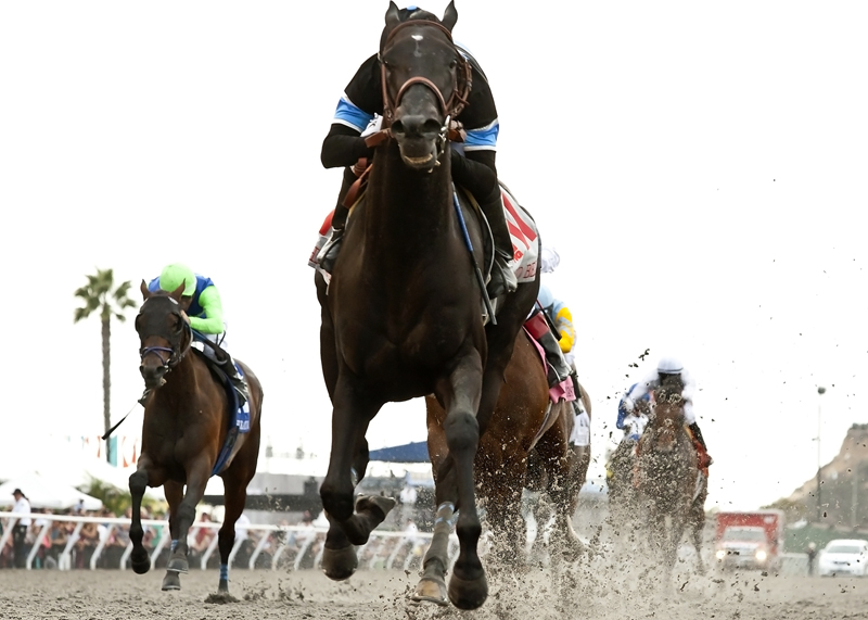 Shared Belief wins 2014 Pacific Classic