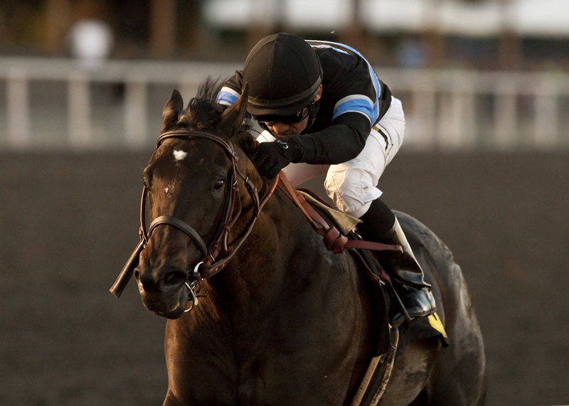 Shared Belief 12-14-2013